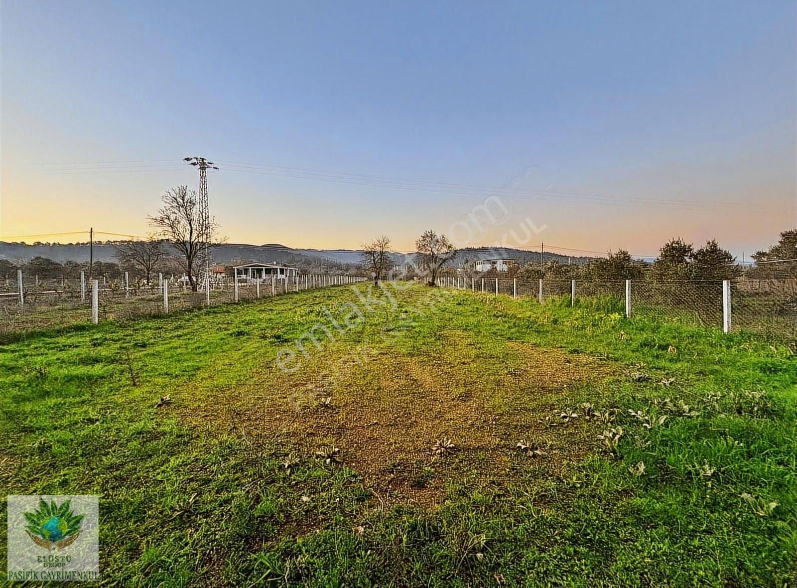 Pasifikten Menderes Yeniköyde Anayola Sıfır 2.275m² Fırsat Tarla - Görsel 14