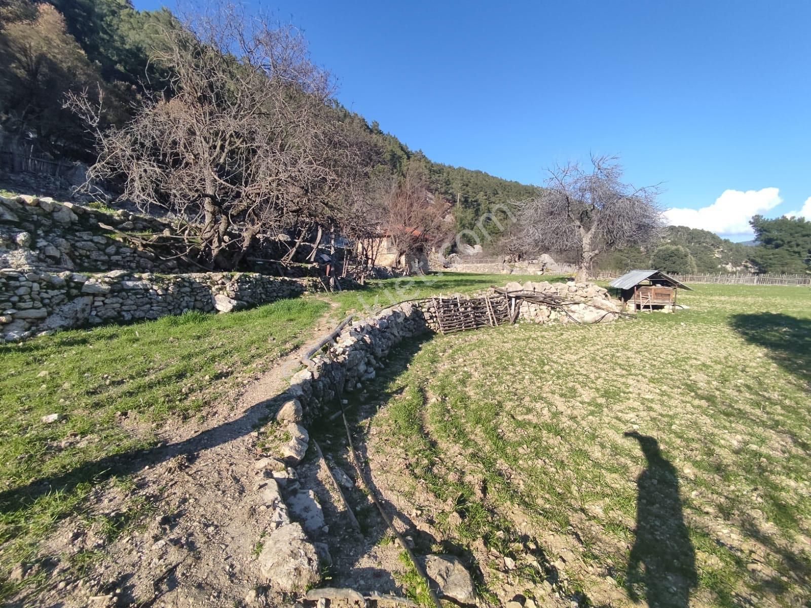 Lotus'tan Köyceğiz Karaçam Mah.de Satılık 2.319 M2 Tarla