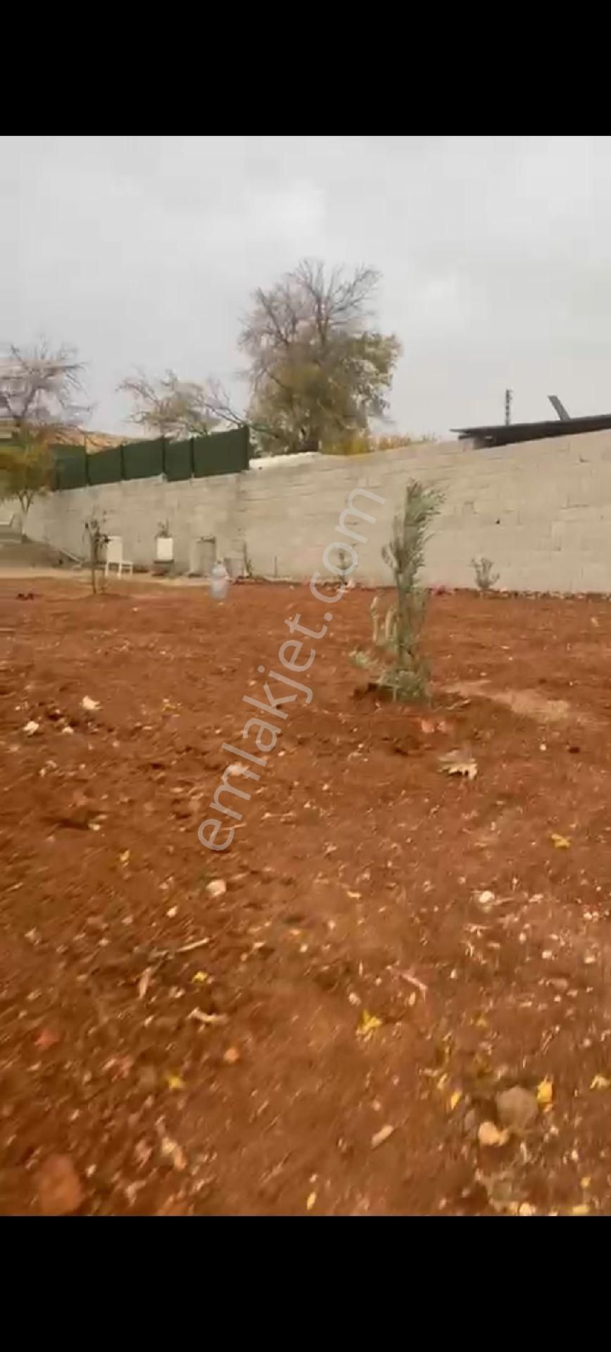 Kral Emlaktan Şehitkamil Sinan Köyünde Satılık Bağ Evi - Görsel 14