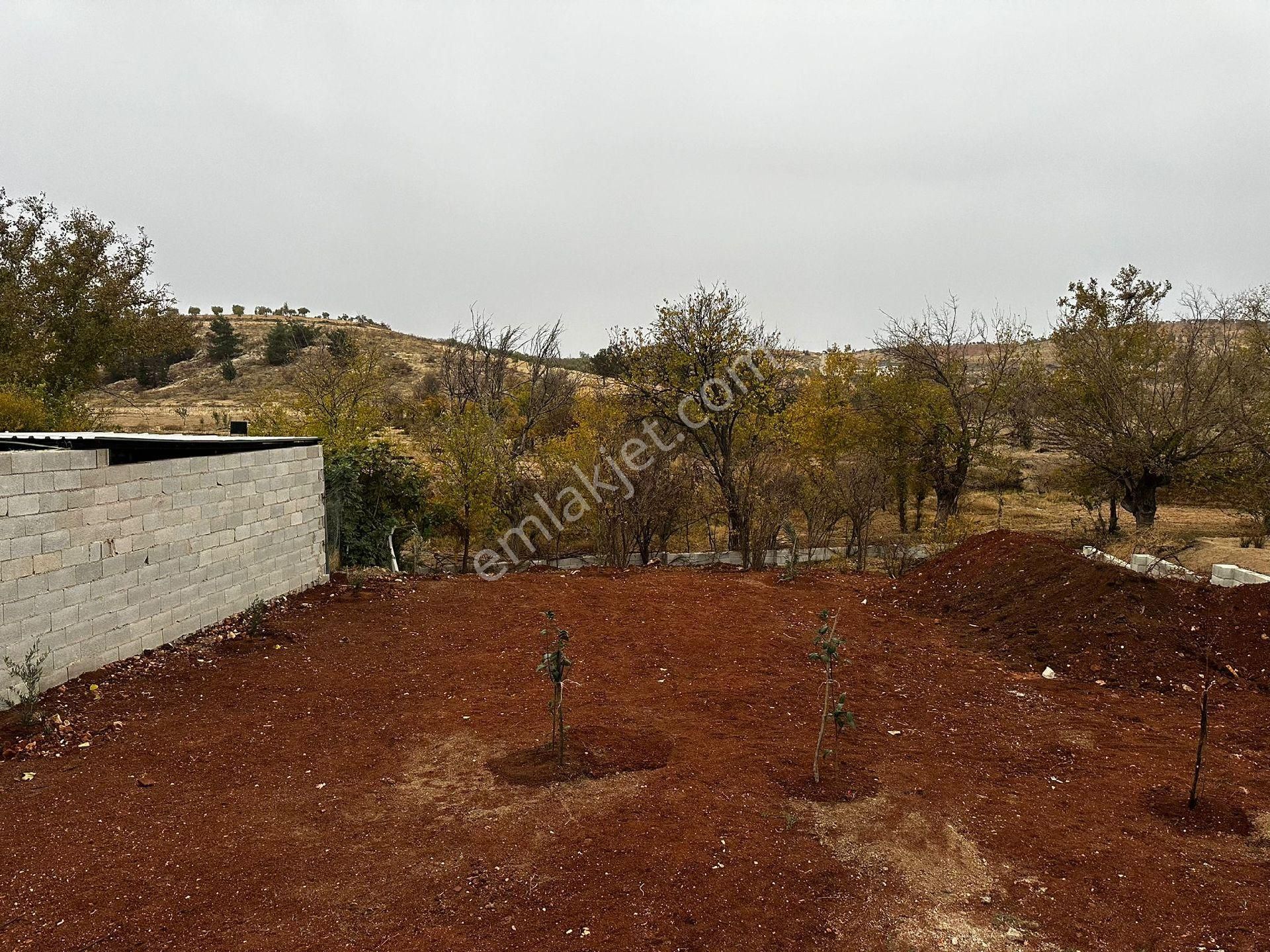 Kral Emlaktan Şehitkamil Sinan Köyünde Satılık Bağ Evi - Görsel 4