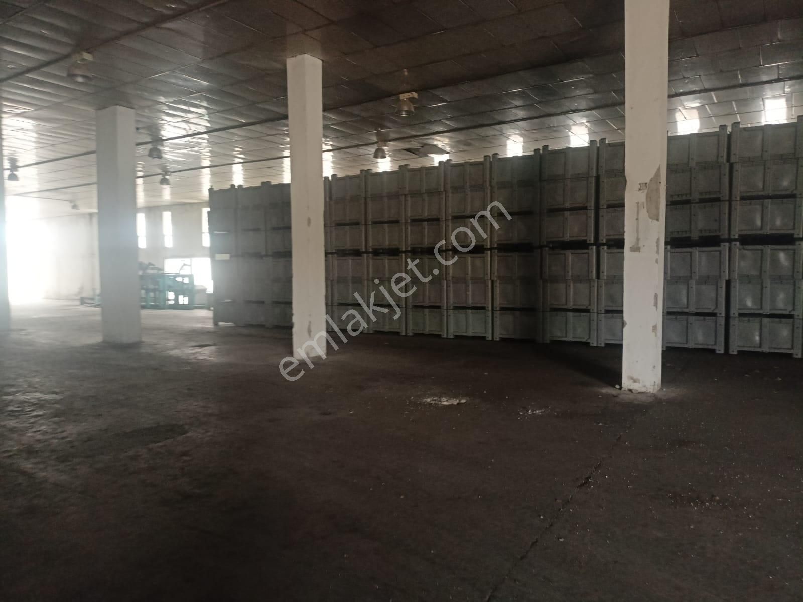 Satılık Depo Ve İşletme - Görsel 6