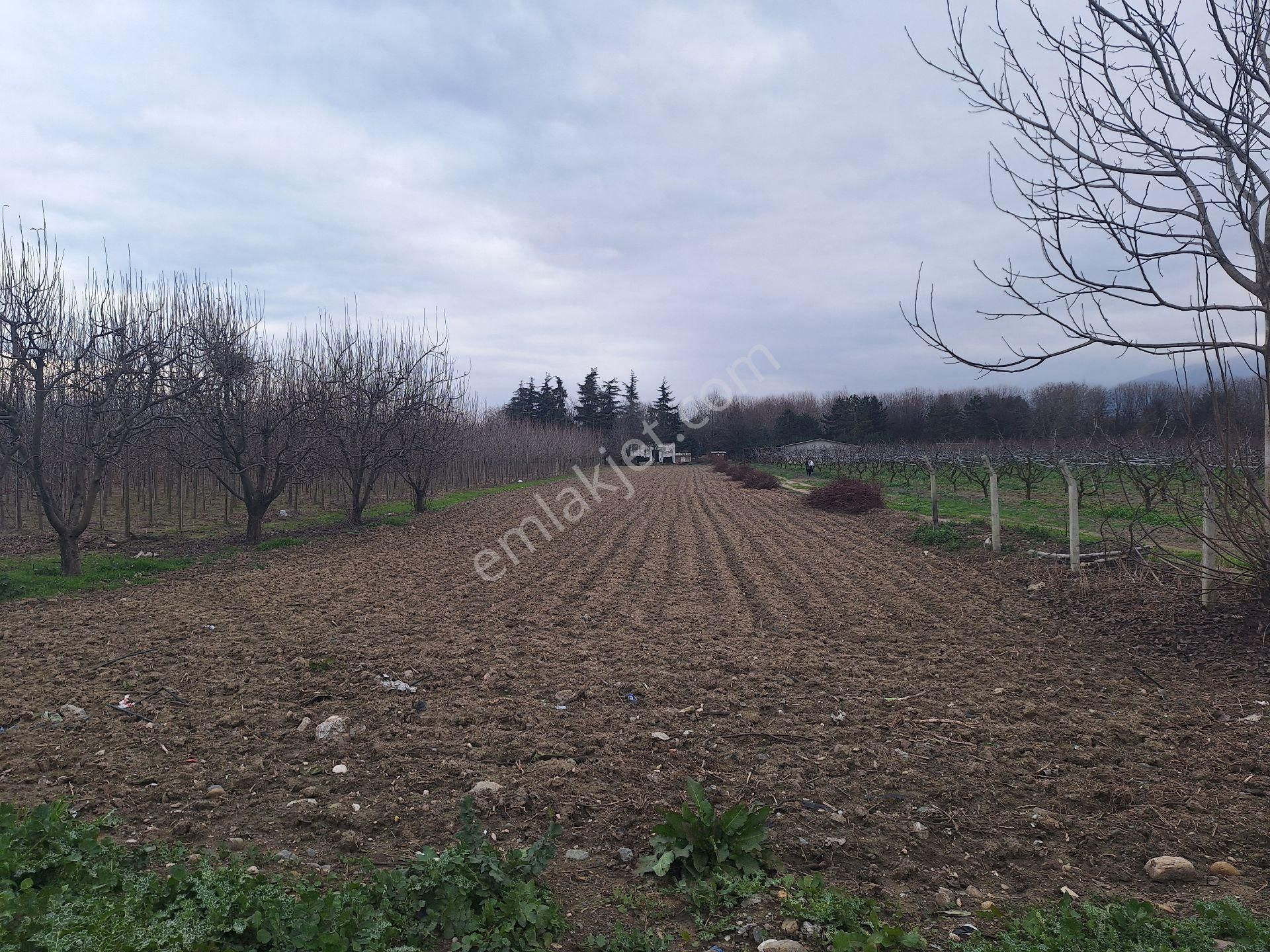 Dialog Skala Soğanlı Mh'de Botanik Parka Komşu Satılık 2000m2 Tarla - Görsel 2