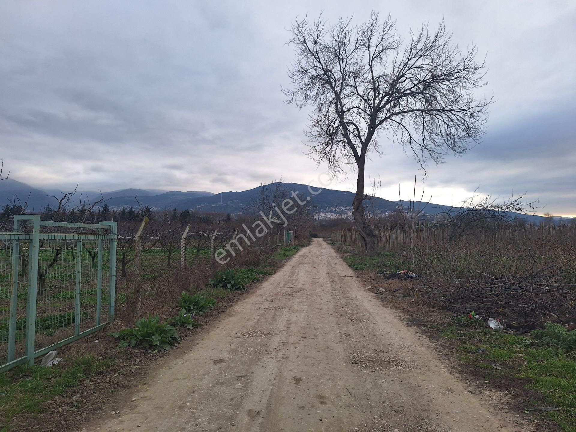 Dialog Skala Soğanlı Mh'de Botanik Parka Komşu Satılık 2000m2 Tarla - Görsel 22