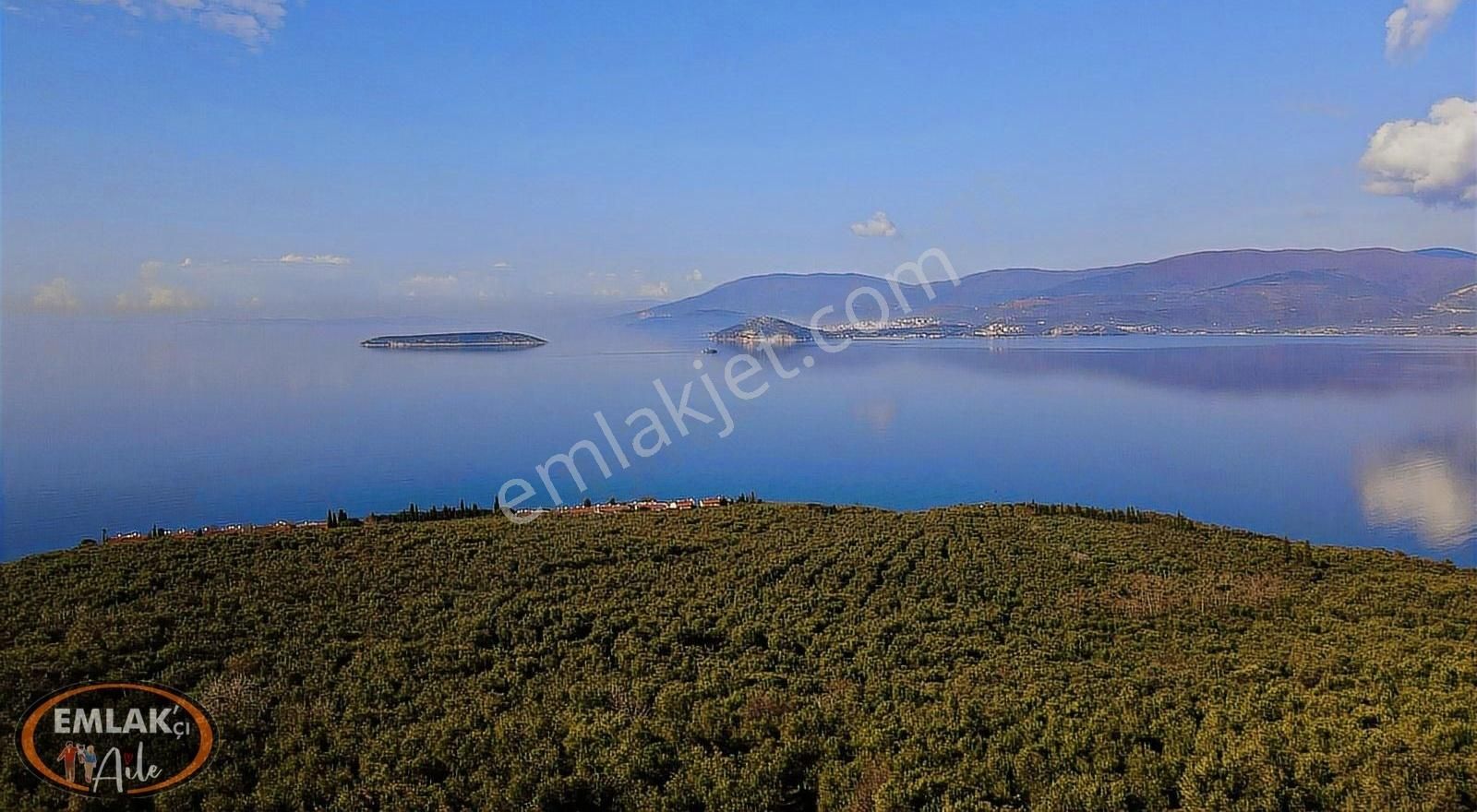 Bandırma Edincik Mahallesinde 1732 M² Satılık Zeytinlik