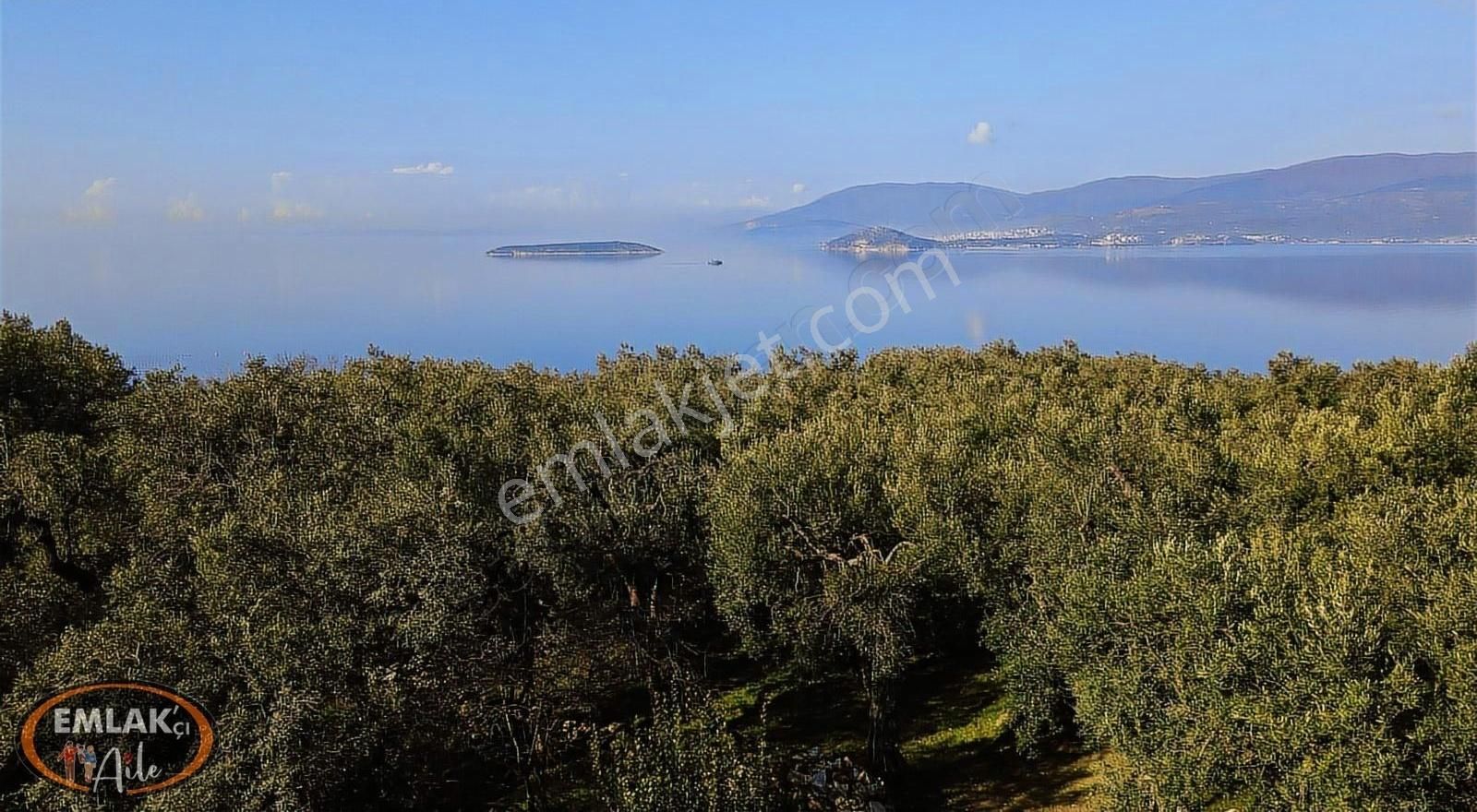 Bandırma Edincik Mahallesinde 1732 M² Satılık Zeytinlik - Görsel 3