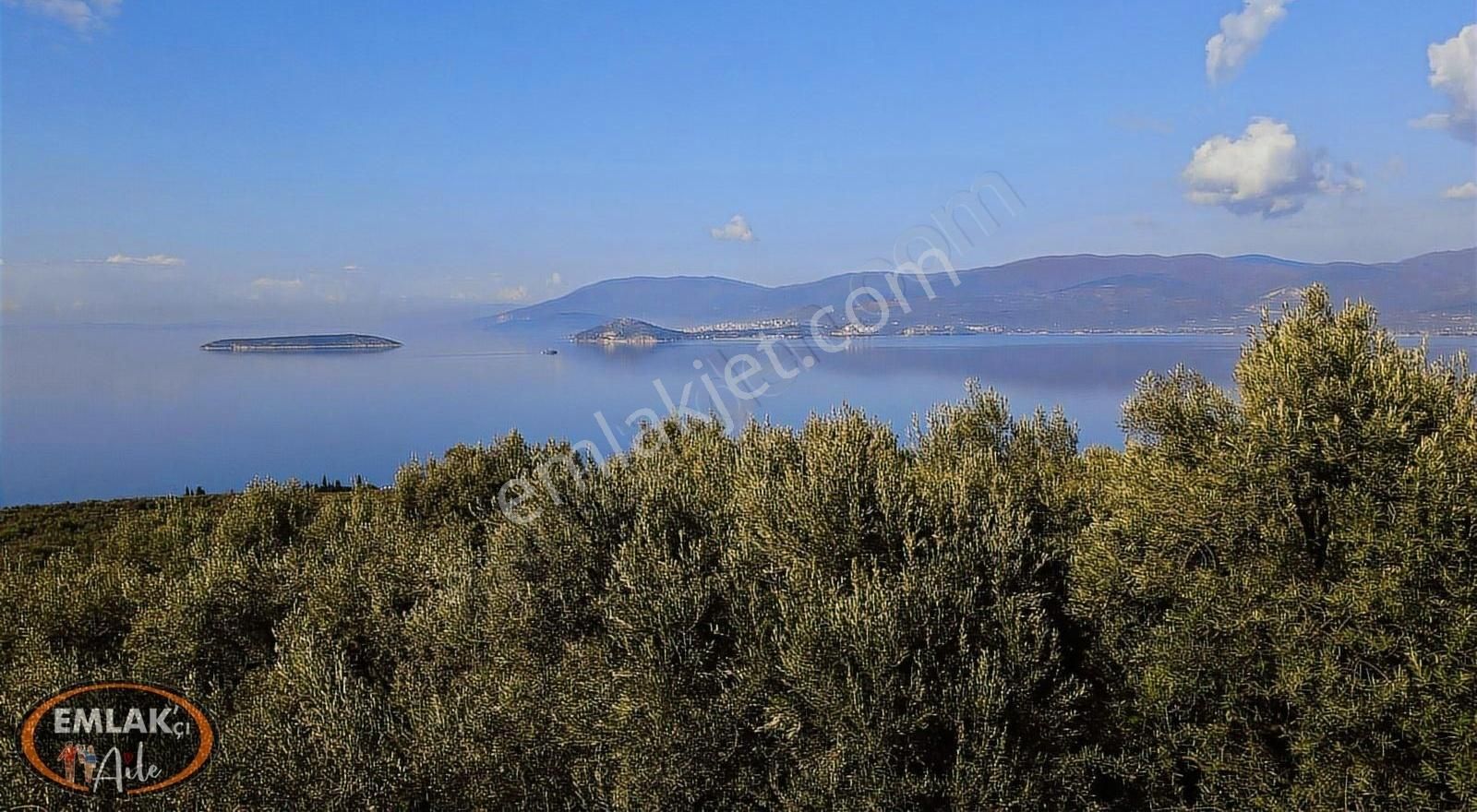 Bandırma Edincik Mahallesinde 1732 M² Satılık Zeytinlik - Görsel 19