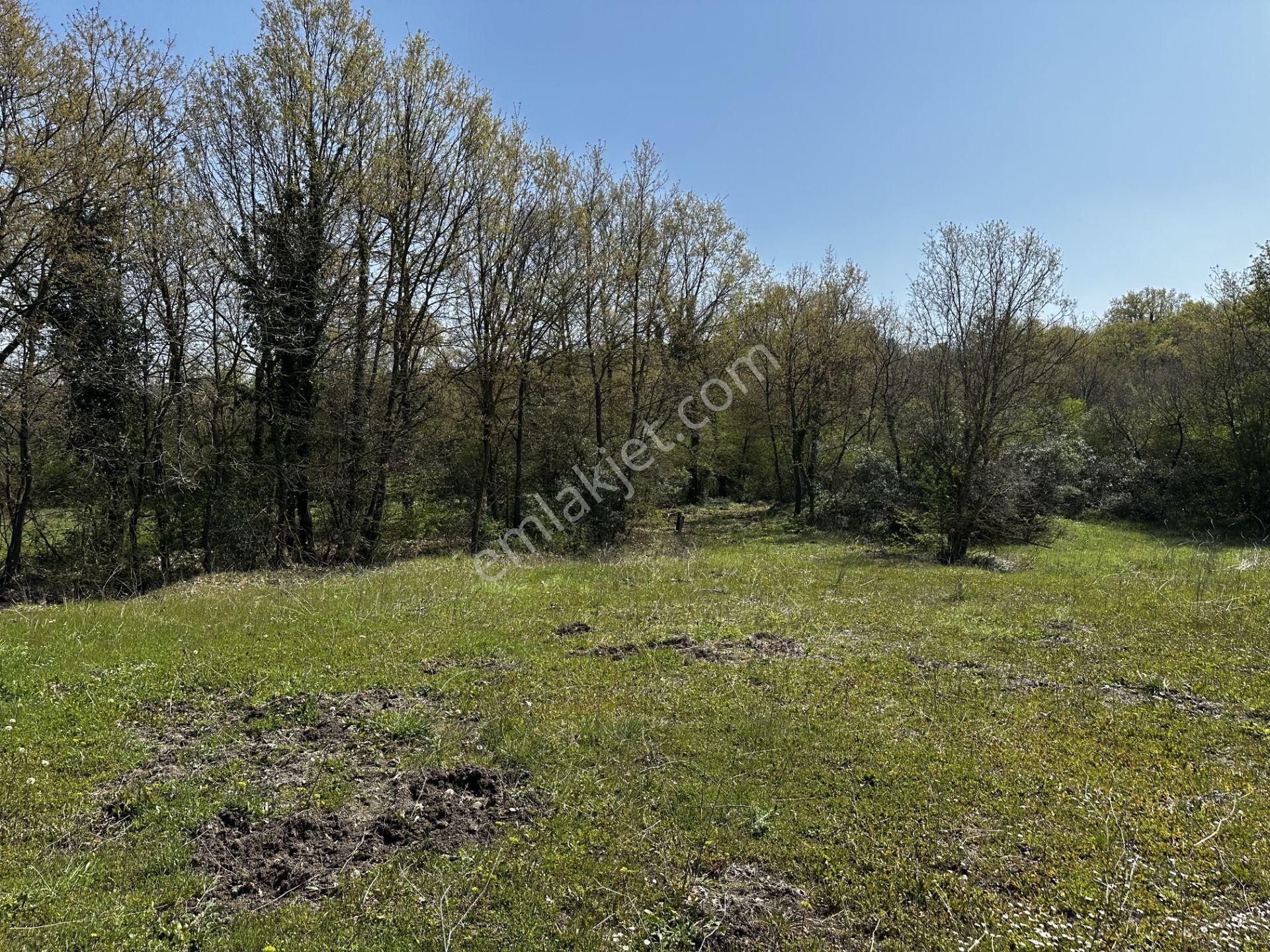 Maksempınarı'nda Satılık 11,585 Metrekare Tarla - Görsel 5