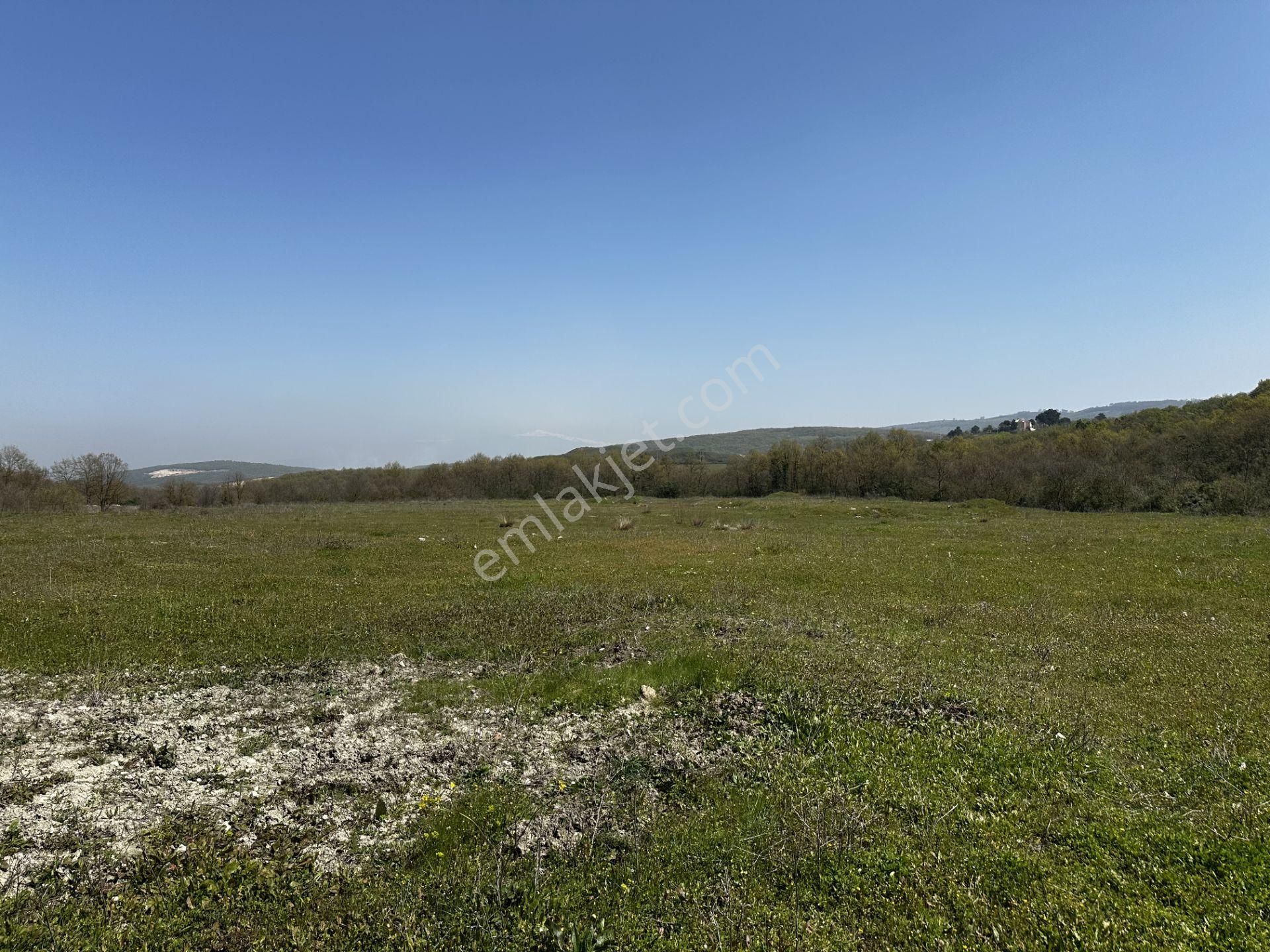 Maksempınarı'nda Satılık 11,585 Metrekare Tarla - Görsel 8