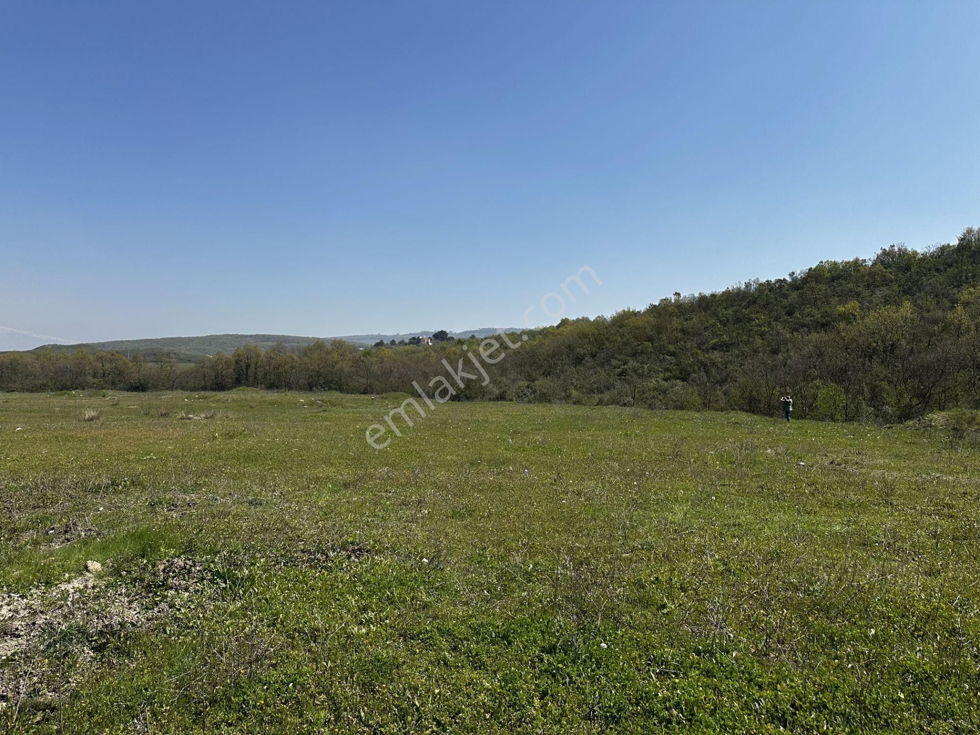 Maksempınarı'nda Satılık 11,585 Metrekare Tarla - Görsel 9
