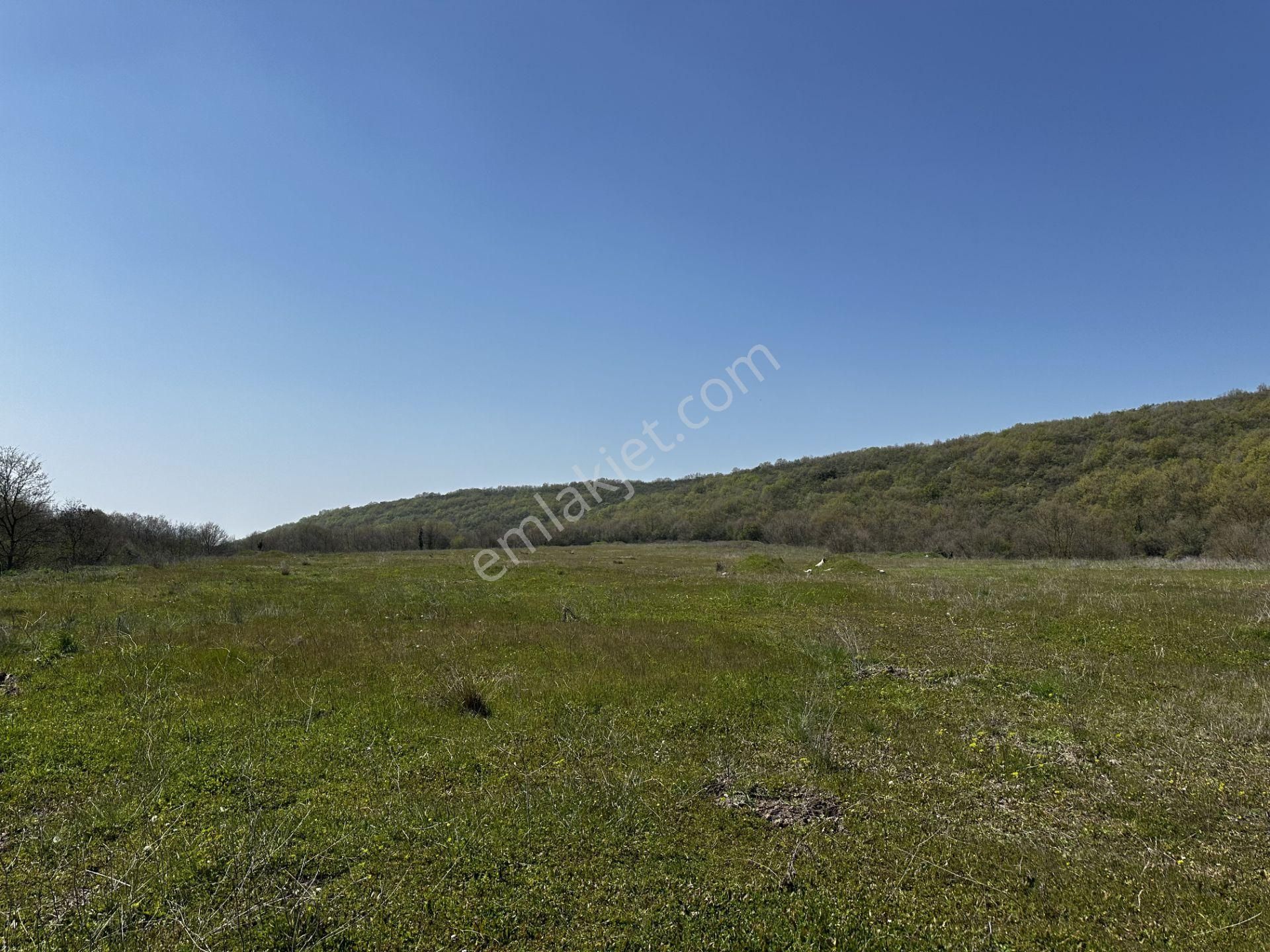 Maksempınarı'nda Satılık 11,585 Metrekare Tarla - Görsel 4