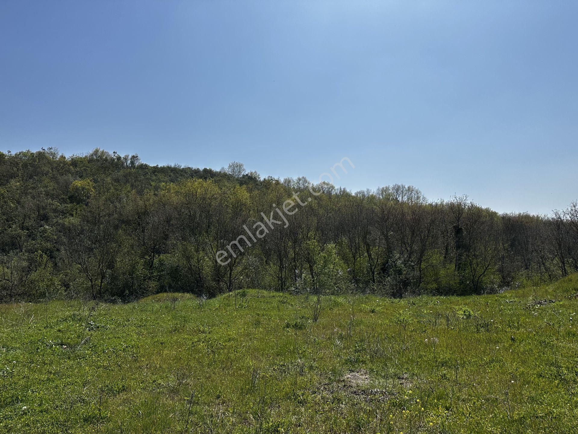 Maksempınarı'nda Satılık 11,585 Metrekare Tarla - Görsel 10