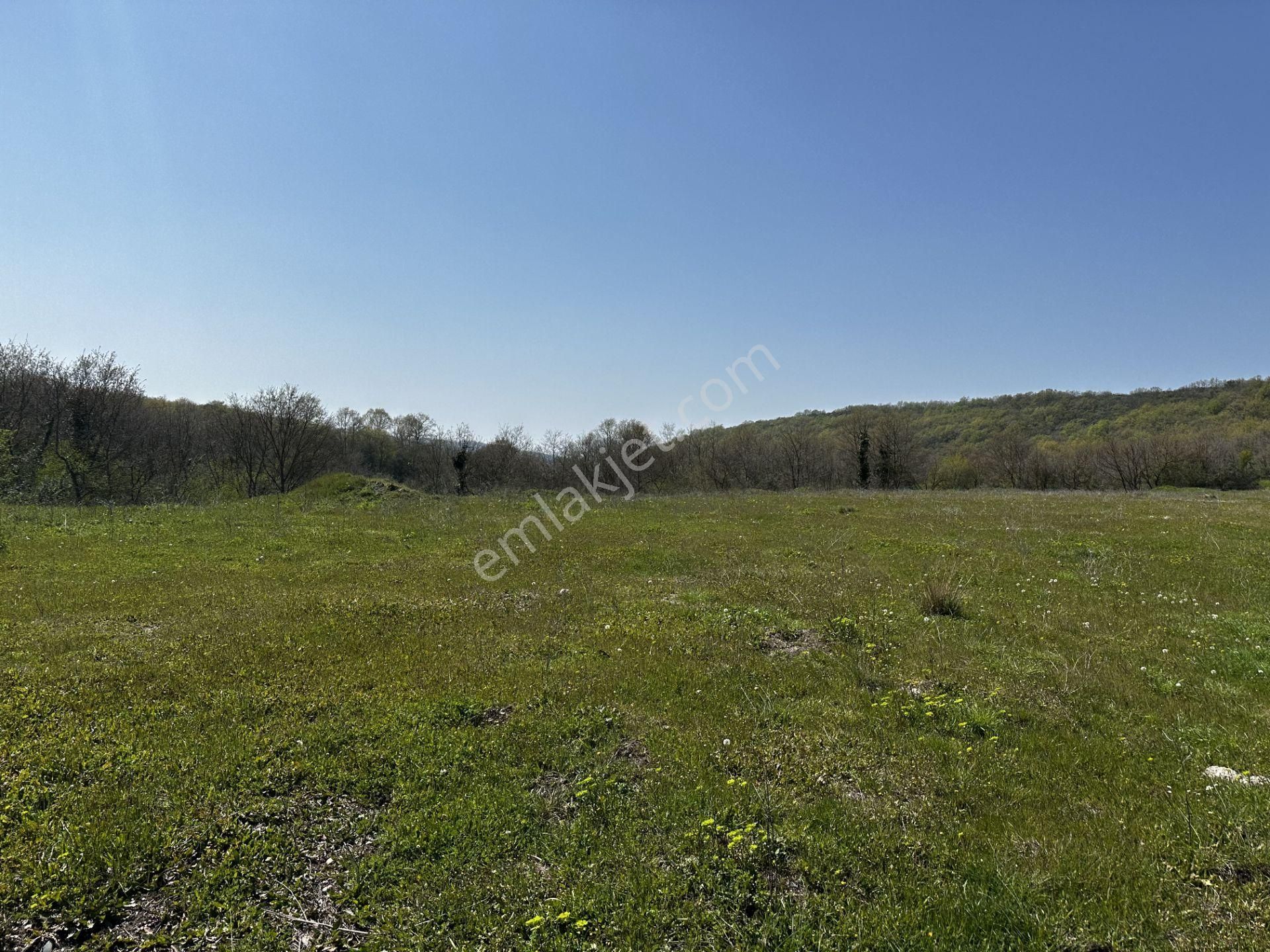 Maksempınarı'nda Satılık 11,585 Metrekare Tarla - Görsel 7