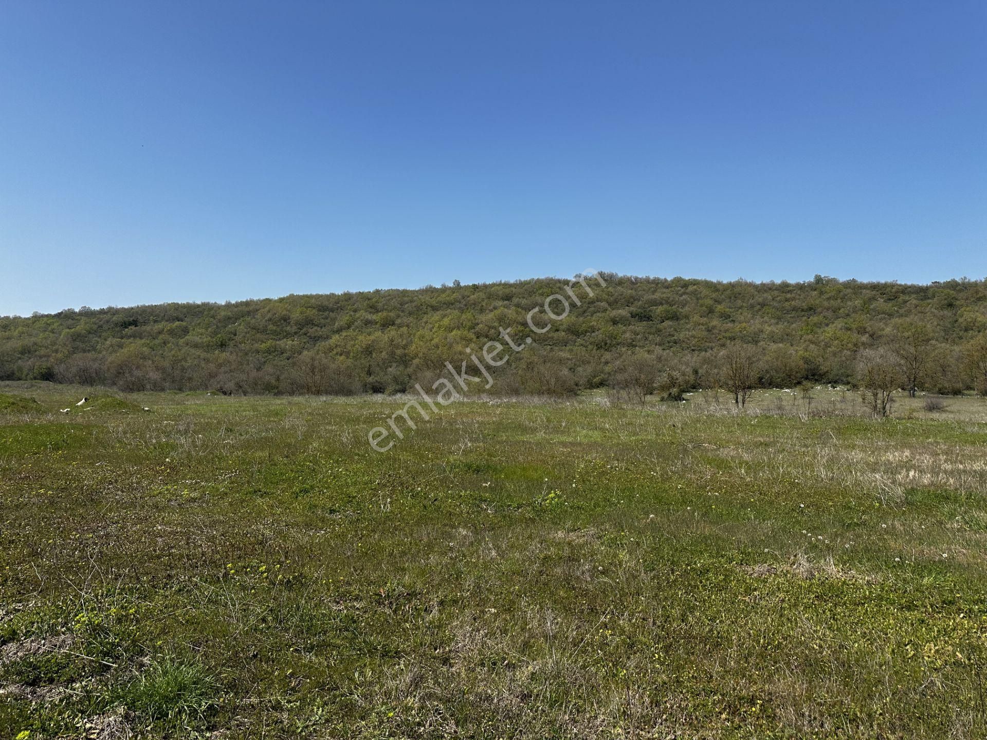 Maksempınarı'nda Satılık 11,585 Metrekare Tarla - Görsel 6