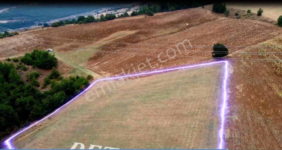 Nilvest'ten Yenişehir Alaylı'da Büyük Tarla - Görsel 3