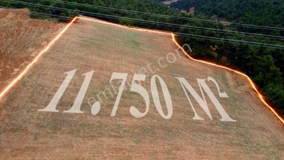 Nilvest'ten Yenişehir Alaylı'da Büyük Tarla - Görsel 2