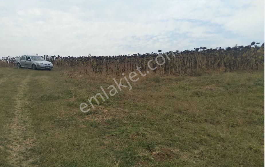 Nilvest'ten Yenişehir Alaylı'da Büyük Tarla - Görsel 9