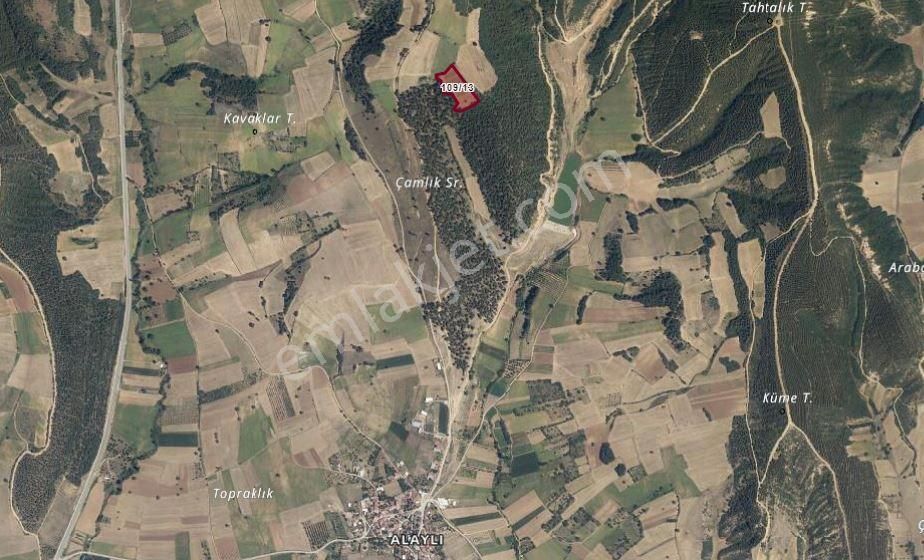 Nilvest'ten Yenişehir Alaylı'da Büyük Tarla - Görsel 8