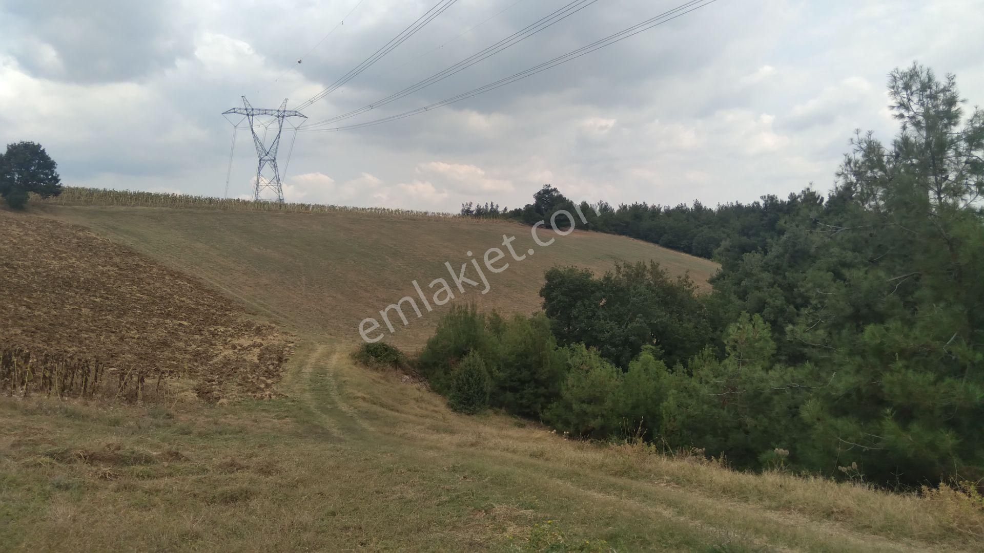 Nilvest'ten Yenişehir Alaylı'da Büyük Tarla - Görsel 5