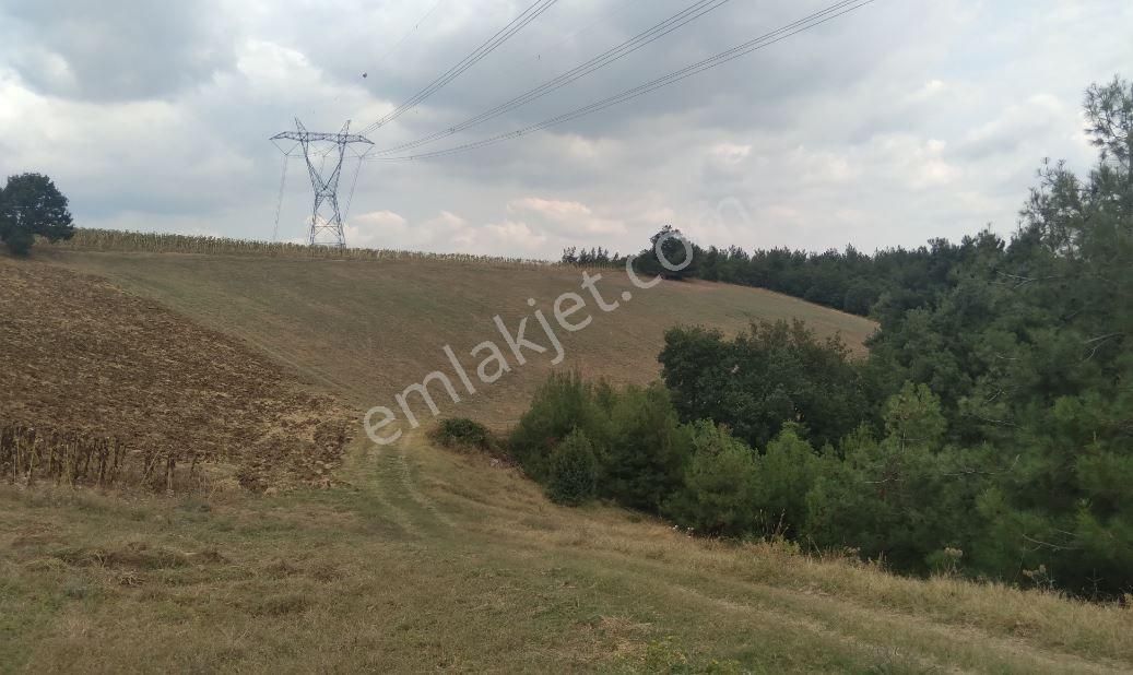 Nilvest'ten Yenişehir Alaylı'da Büyük Tarla - Görsel 10