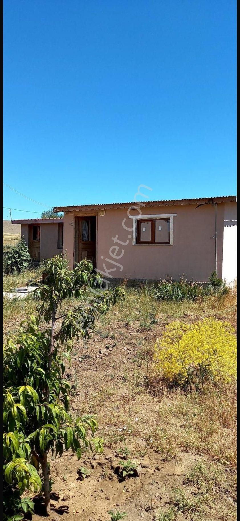 Şahbaz Emlak'tan- 9.750 M² Arazili Anayol Kenarında Çiftlik Evi! - Görsel 5