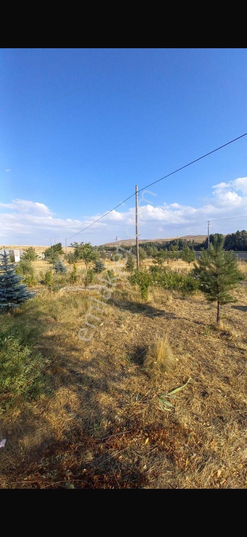 Şahbaz Emlak'tan- 9.750 M² Arazili Anayol Kenarında Çiftlik Evi! - Görsel 18