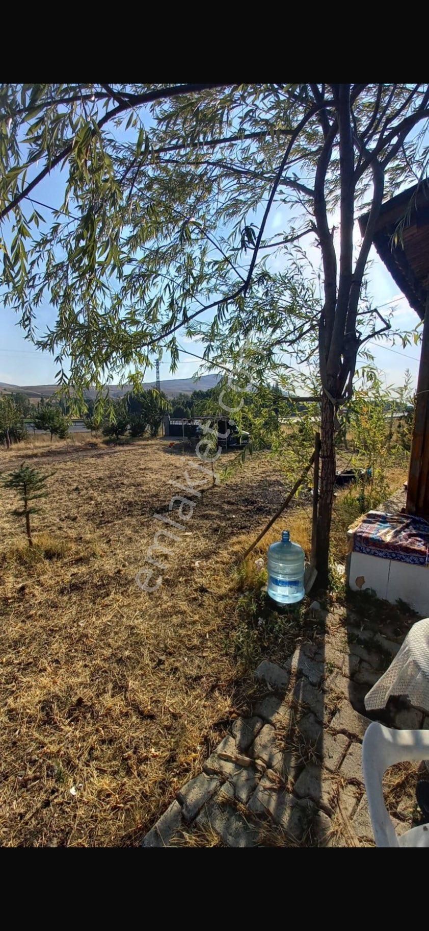 Şahbaz Emlak'tan- 9.750 M² Arazili Anayol Kenarında Çiftlik Evi! - Görsel 13
