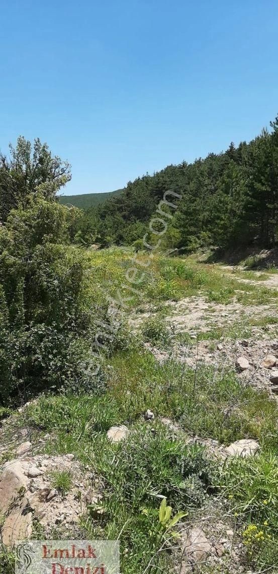 Çamlıdere Beyler'de 403m2 Tek Tapu Villa Parseli - Görsel 33