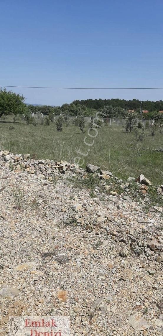 Çamlıdere Beyler'de 403m2 Tek Tapu Villa Parseli - Görsel 13