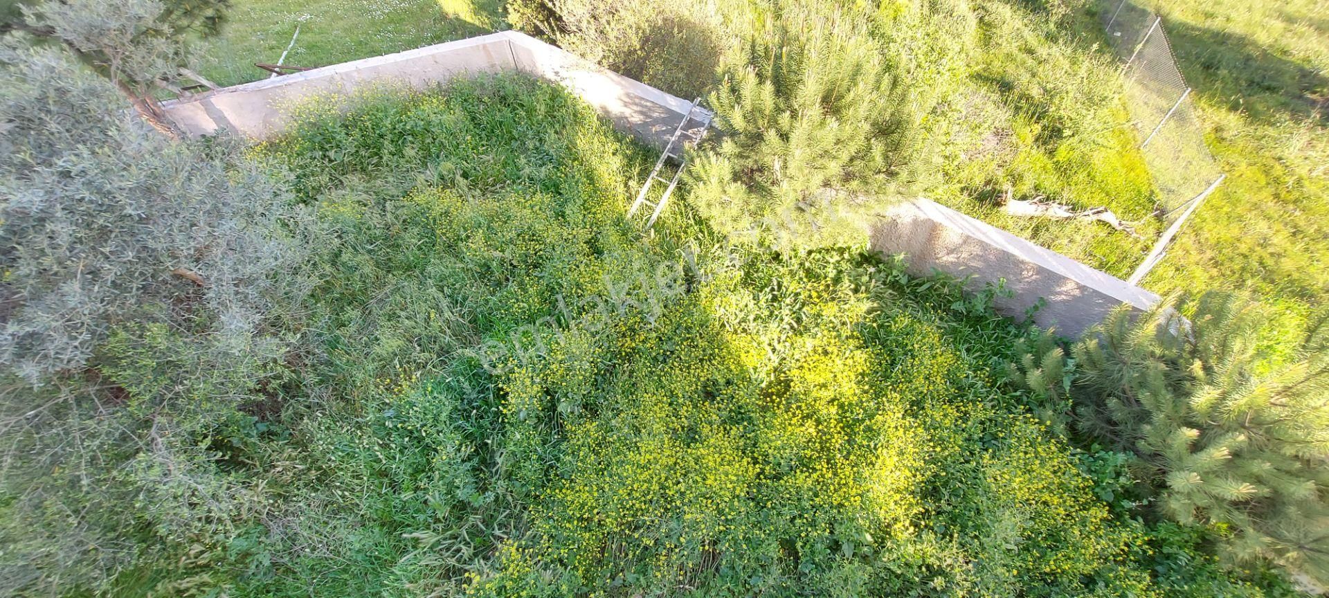 Artemis'ten Asansörlü Kaliteli İnşaat Oturuma Hazır Daireler; - Görsel 28