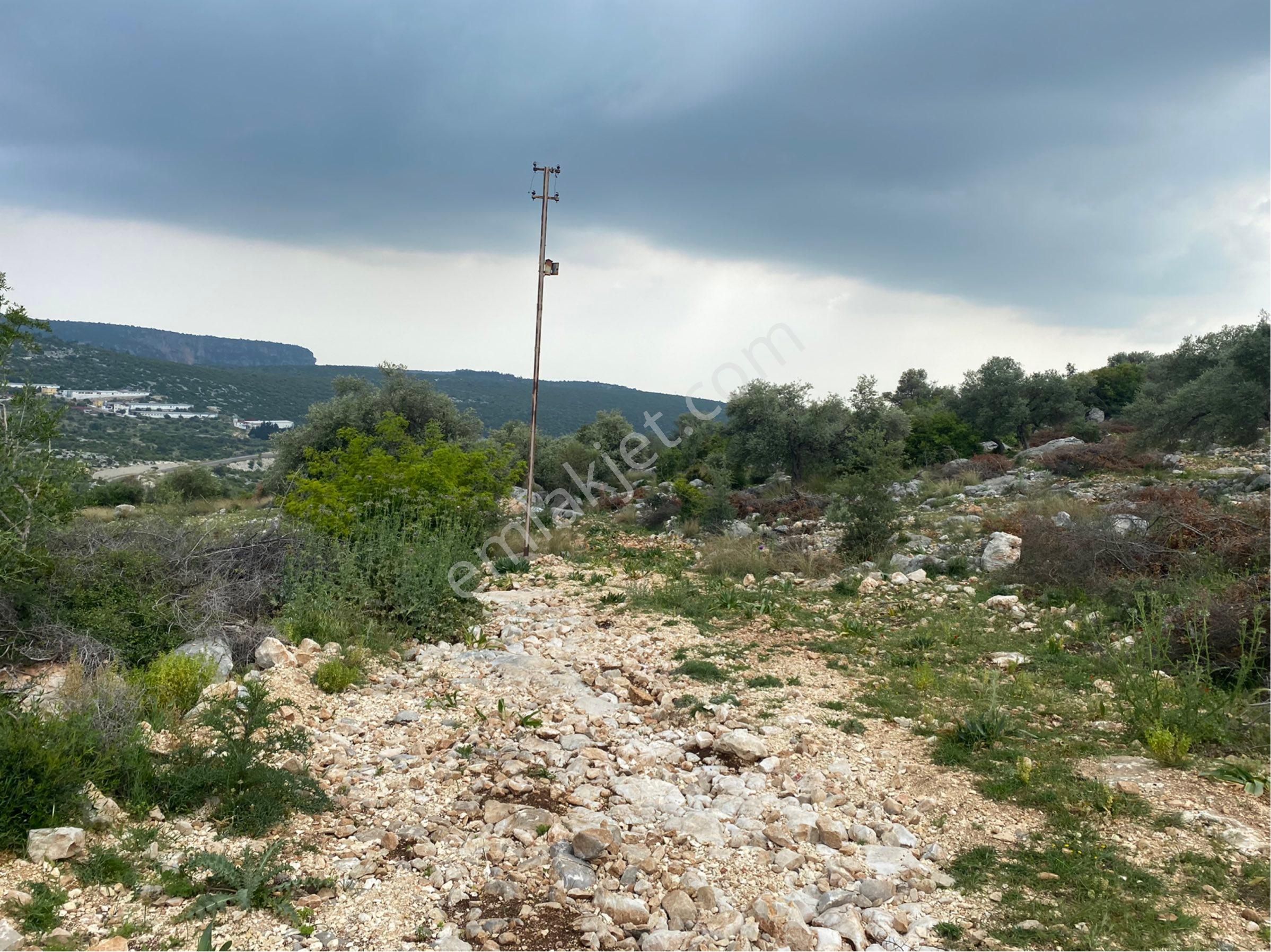 Meşelik Küyünde Bulunan Tarlamız Satılıktır - Görsel 9