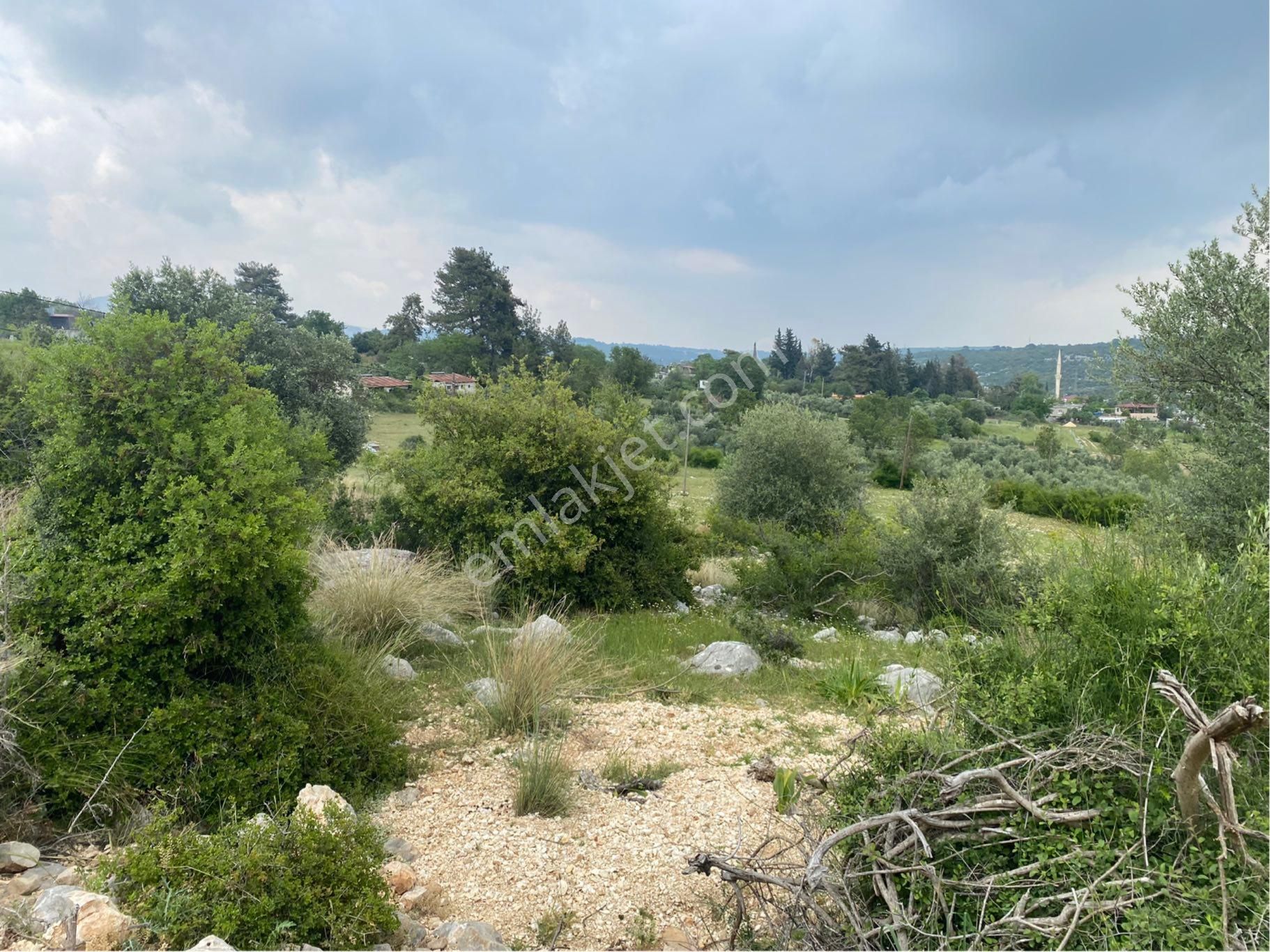 Meşelik Küyünde Bulunan Tarlamız Satılıktır - Görsel 6