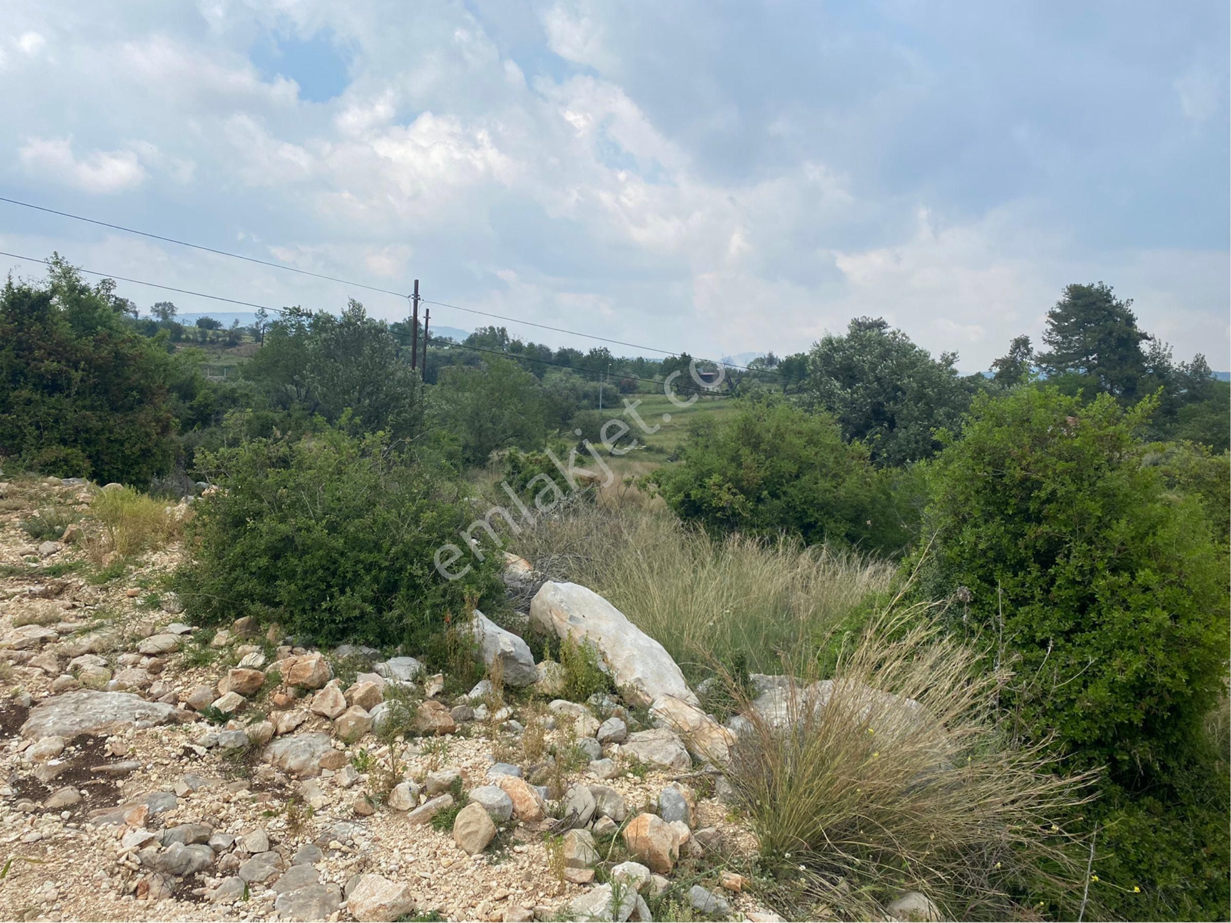 Meşelik Küyünde Bulunan Tarlamız Satılıktır - Görsel 7