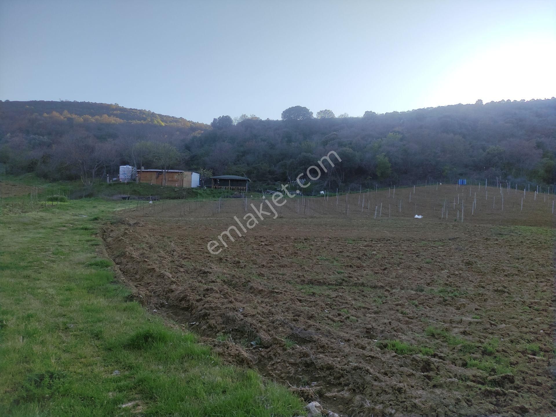 Saklı Bir Cennet! Doğa İçinde Satılık Bahçe Ve Bağevi – Ayça Güvencesiyle - Görsel 4