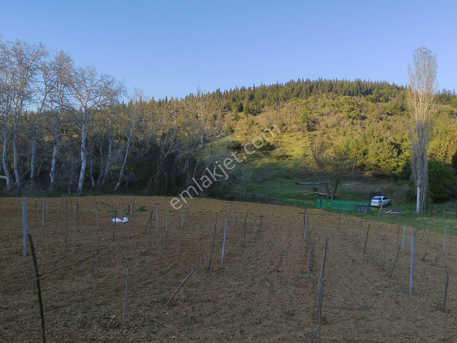 Saklı Bir Cennet! Doğa İçinde Satılık Bahçe Ve Bağevi – Ayça Güvencesiyle - Görsel 12