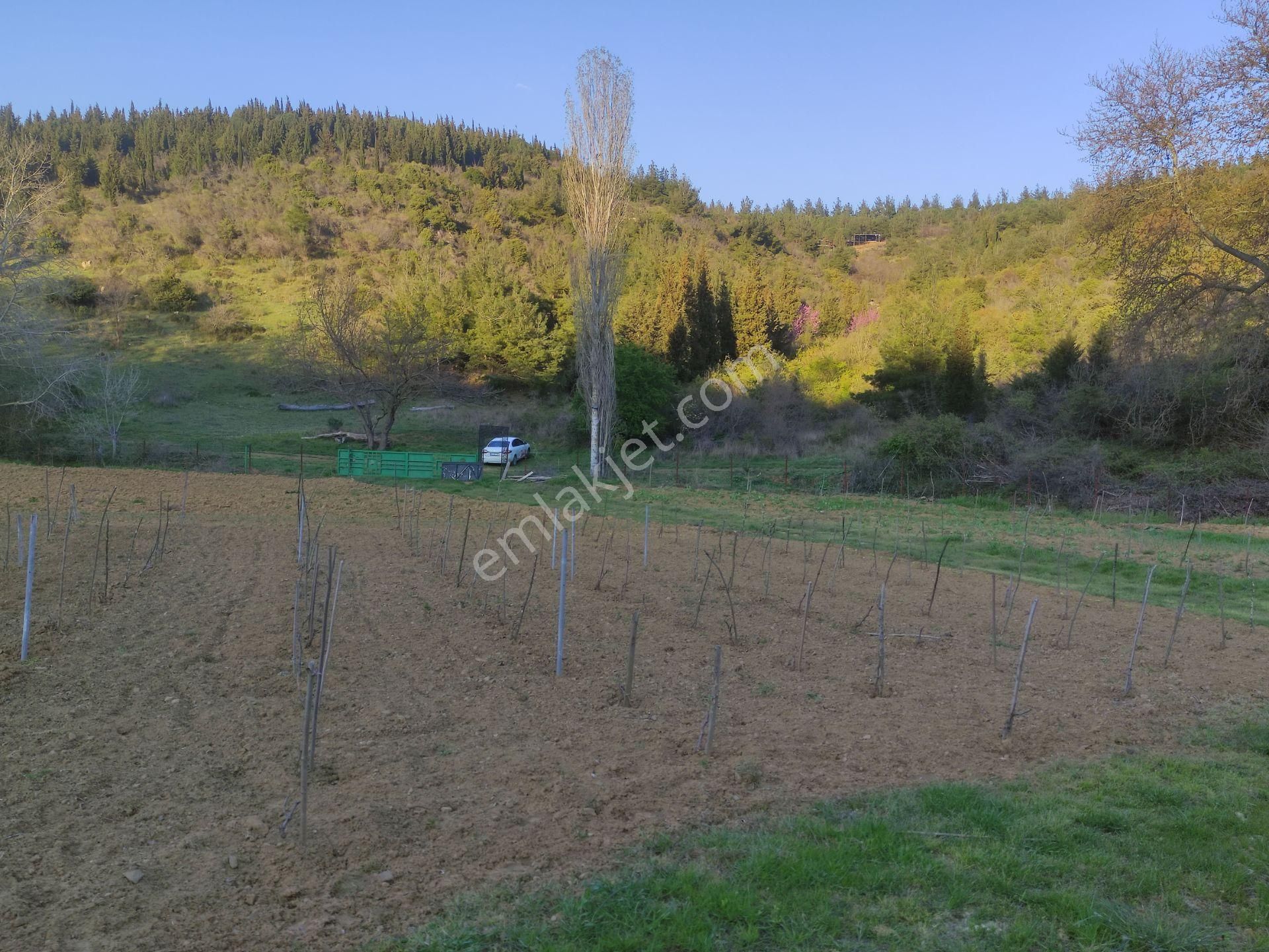 Saklı Bir Cennet! Doğa İçinde Satılık Bahçe Ve Bağevi – Ayça Güvencesiyle - Görsel 11