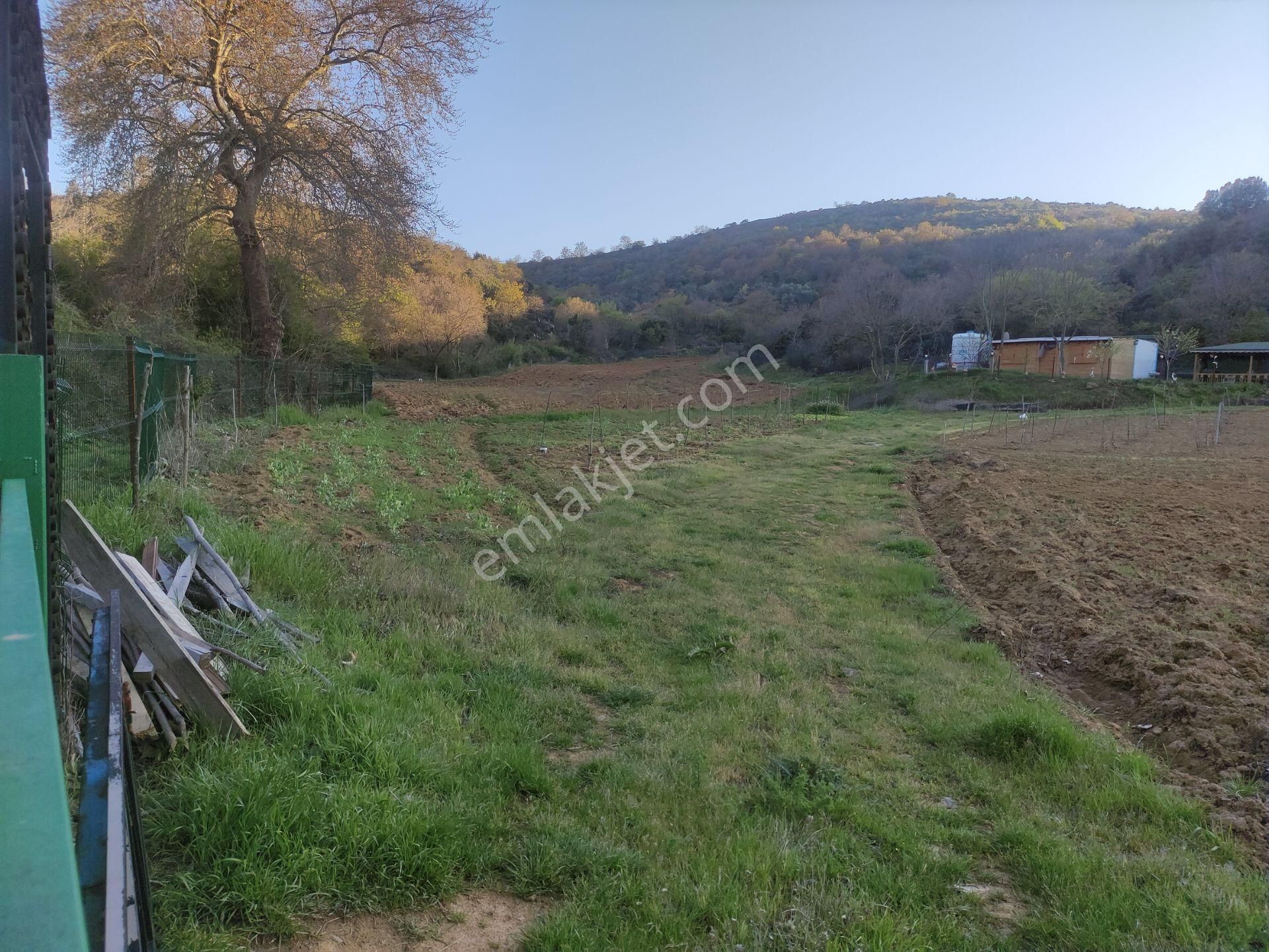 Saklı Bir Cennet! Doğa İçinde Satılık Bahçe Ve Bağevi – Ayça Güvencesiyle - Görsel 3