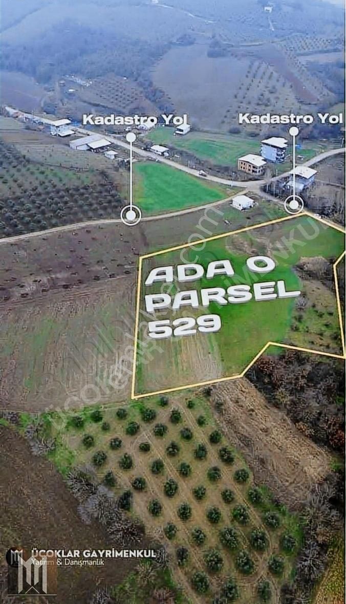 Nilüfer Çaylı' Da Satılık 11.600 M2 Yola Cephe Fırsat Arazi