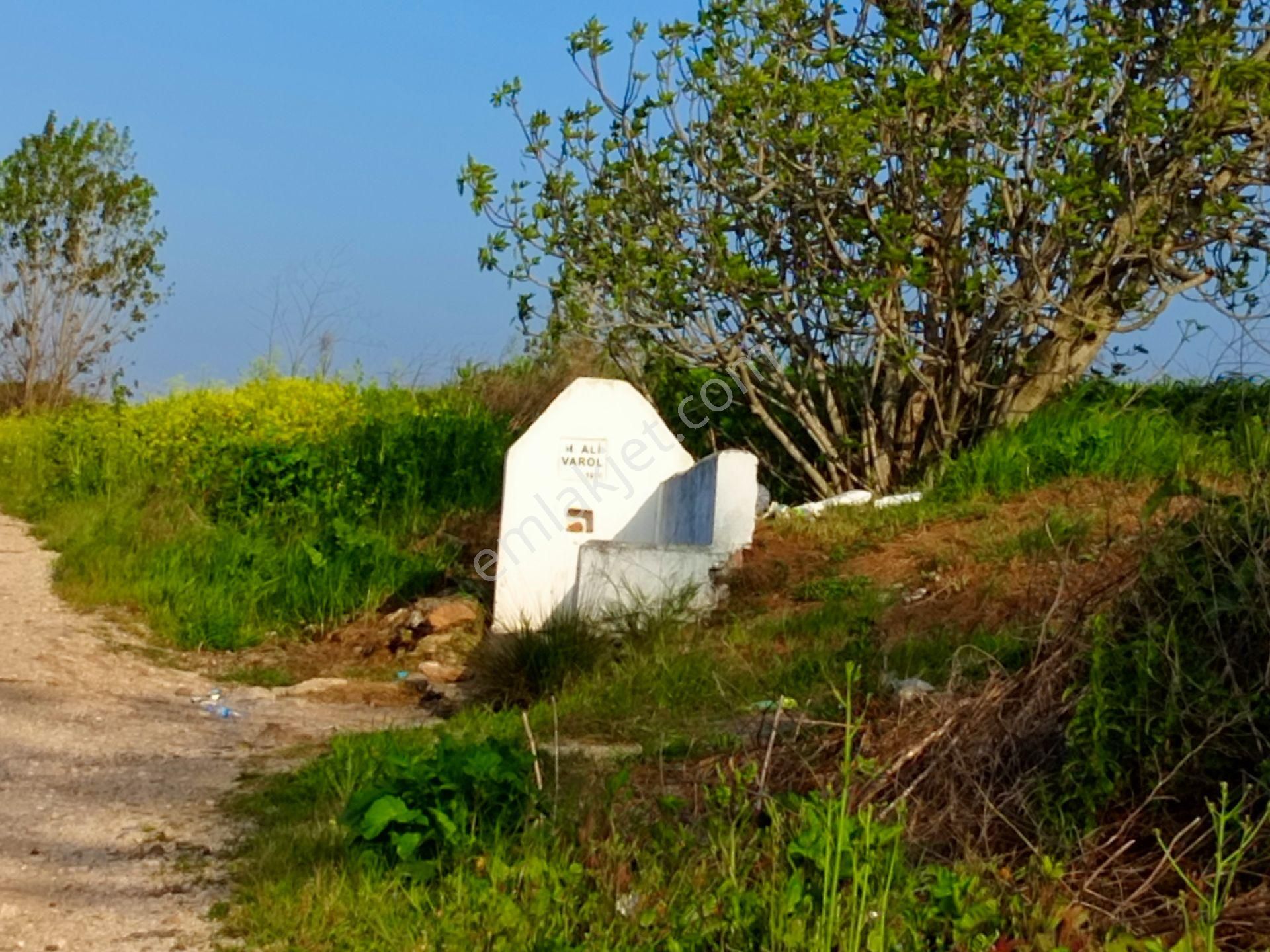 My Ekipden Bursa Karacabey İkizcede Doğa Harikası Arazi - Görsel 31