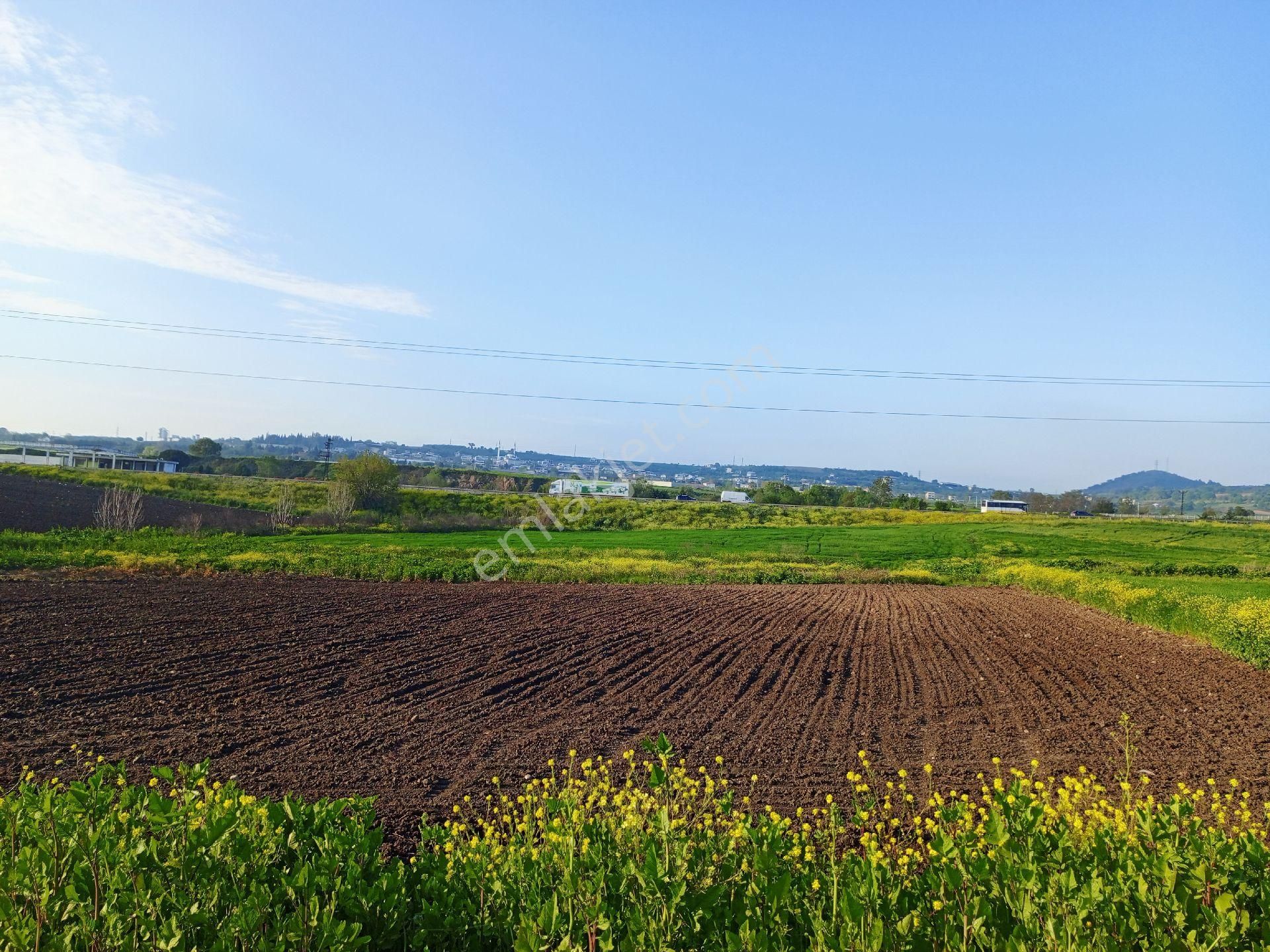 My Ekipden Bursa Karacabey İkizcede Doğa Harikası Arazi - Görsel 22