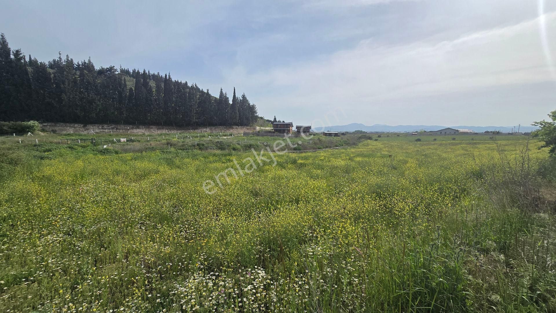 Gölcükler Otobüs Güzergahında Satılık 1.001 M2 Tapulu Fırsat Bahçe - Görsel 18