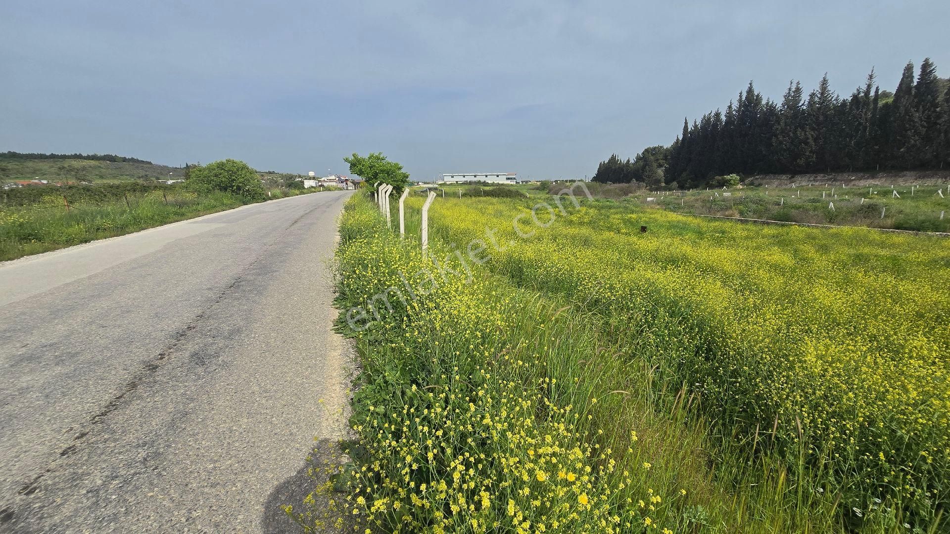Gölcükler Otobüs Güzergahında Satılık 1.001 M2 Tapulu Fırsat Bahçe - Görsel 3
