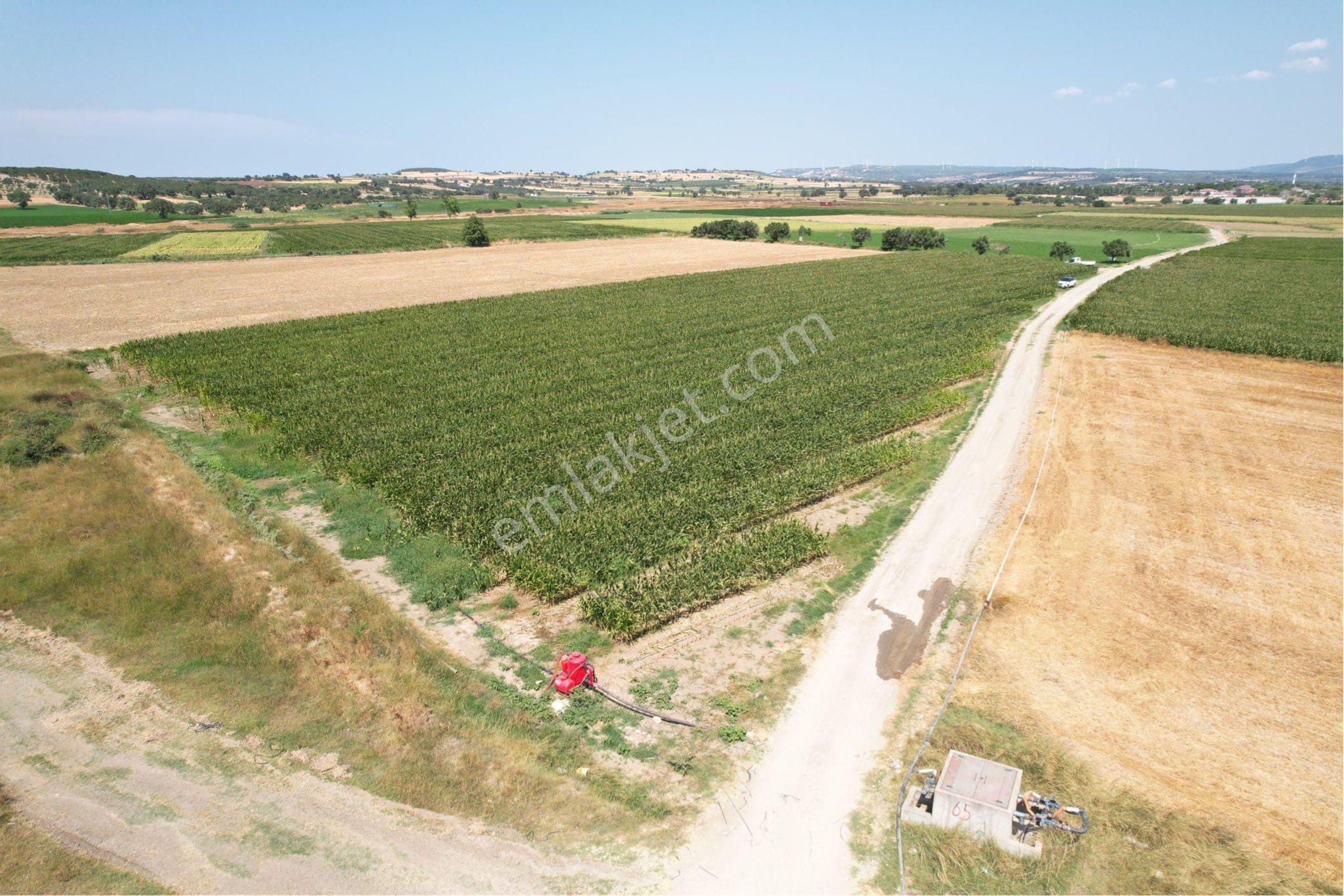 ❎ Çanakkale Merkez Halileli Köyünde 10’812 M2 Satılık Tarla ❎ - Görsel 5