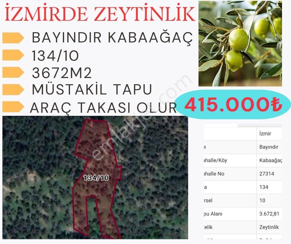 Doğa Gayrimenkul'den İzmir'de Kaçırılmayacak Yatırım Fırsatı - Görsel 13