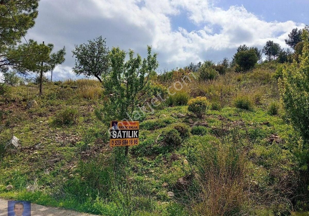 Olimpos Un En Güzel Yeri - Görsel 14