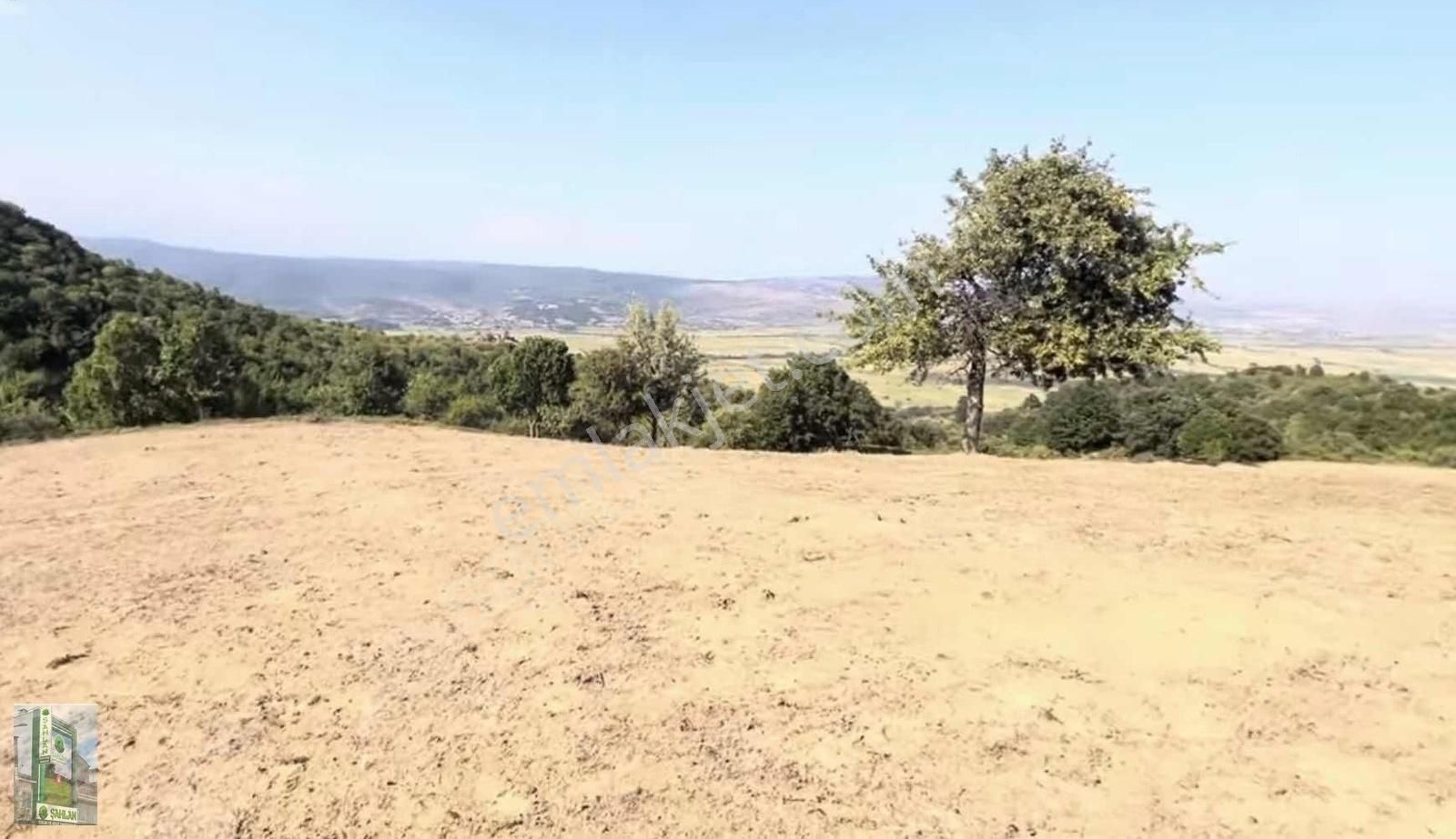 Resmî Yola Ve Ormana Cephe Harika Manzaralı 2043 M2 Hobi Bahçesi