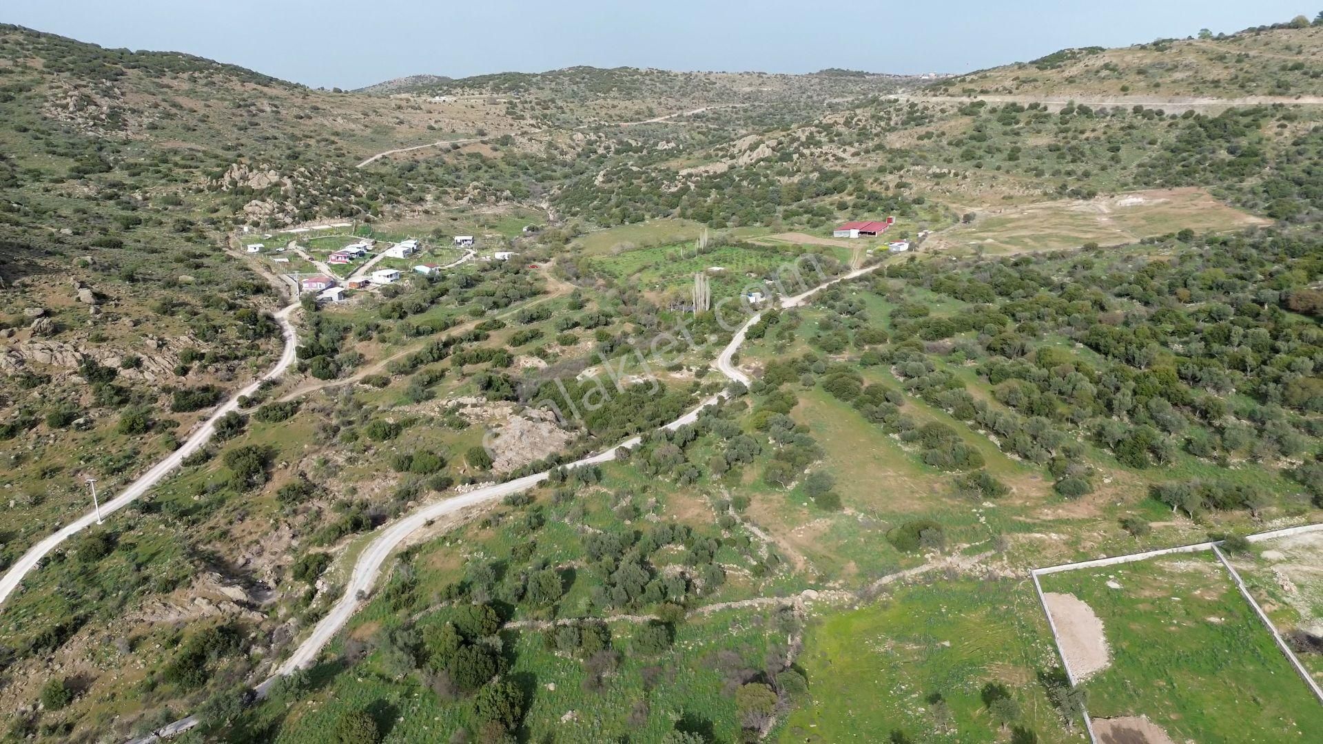 İzmir Menemen Bağcılar Mahallesin'de Satılık Tarla - Görsel 5