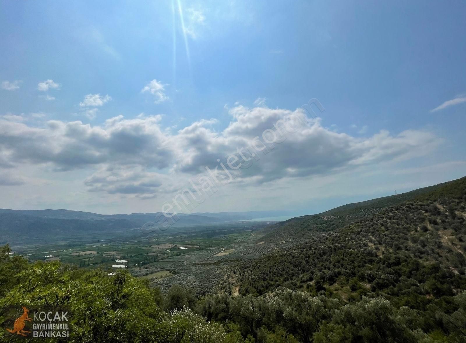 İznik Dereköy De Göl Manzaralı 16950 M2 Satılık Zeytin Bahçesi - Görsel 16