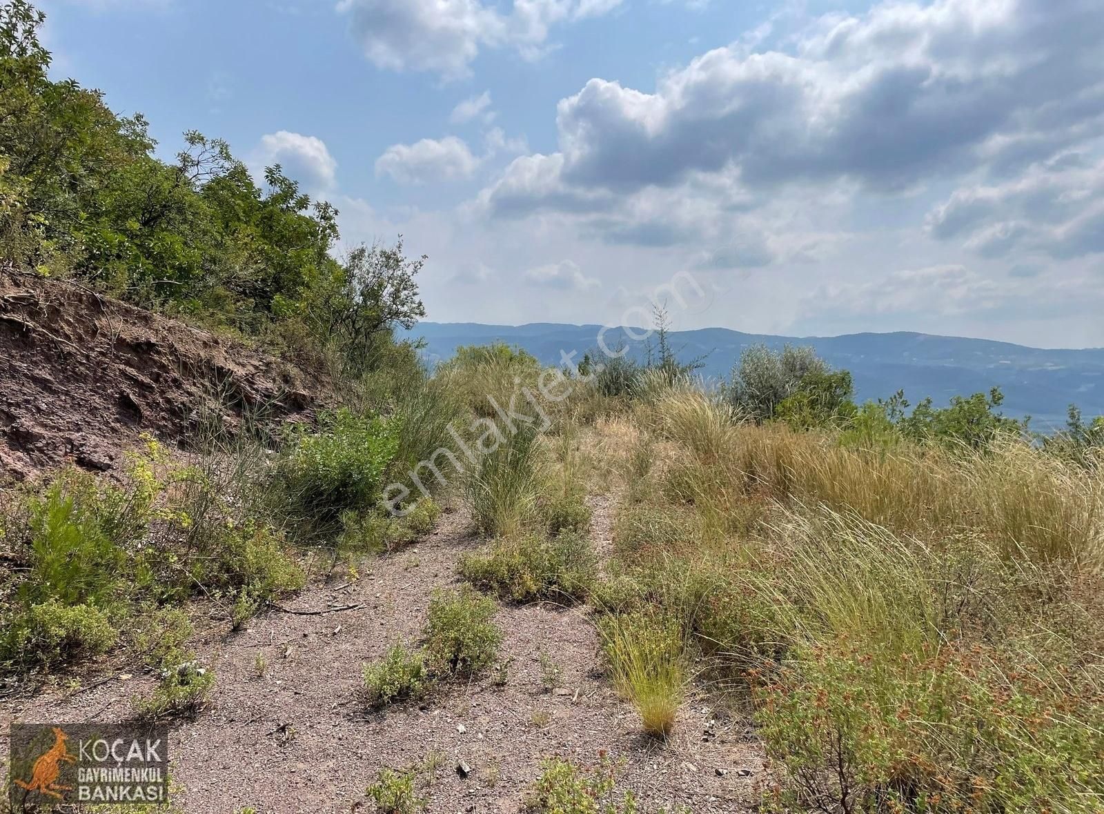 İznik Dereköy De Göl Manzaralı 16950 M2 Satılık Zeytin Bahçesi - Görsel 18