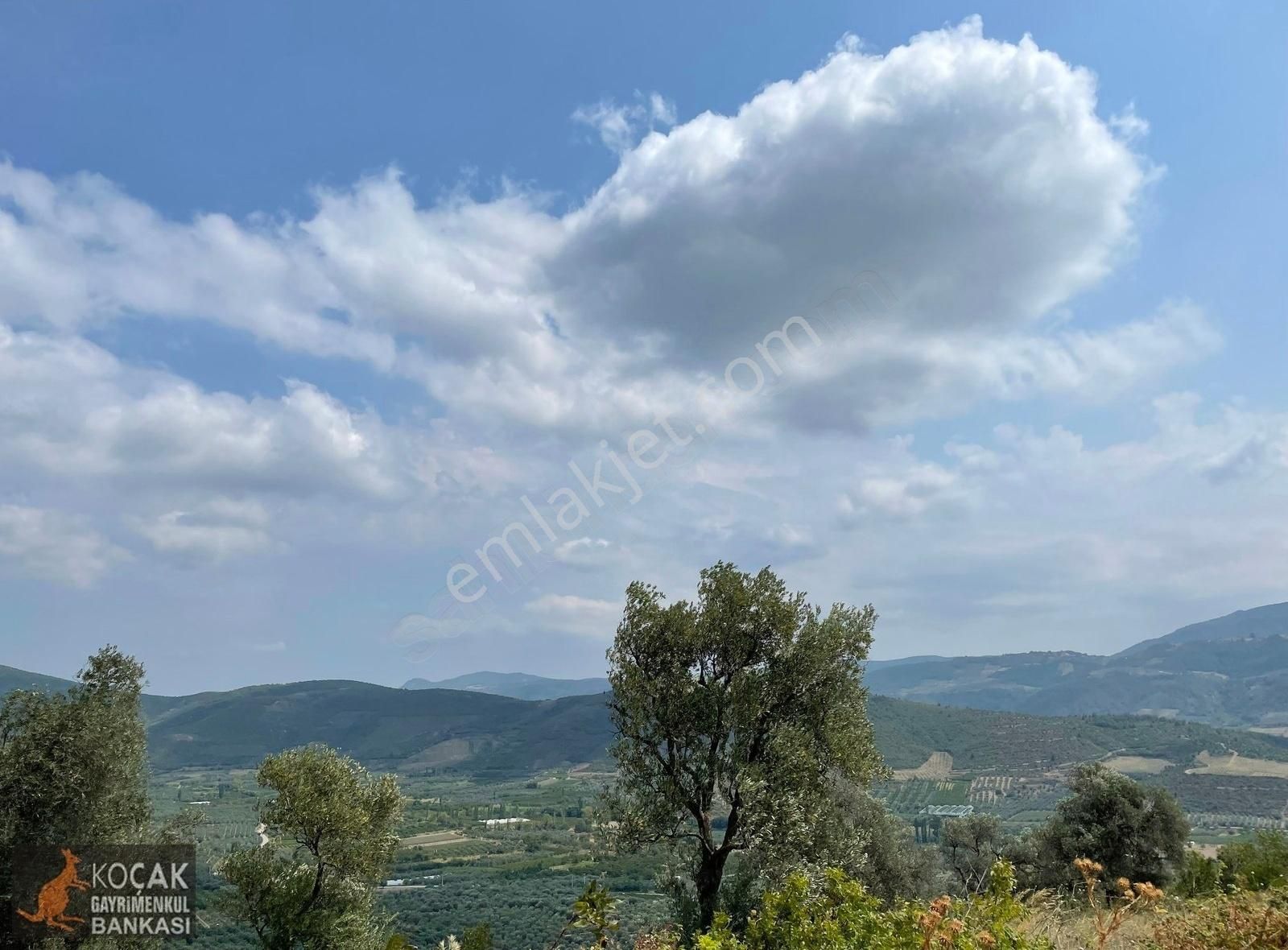 İznik Dereköy De Göl Manzaralı 16950 M2 Satılık Zeytin Bahçesi - Görsel 2