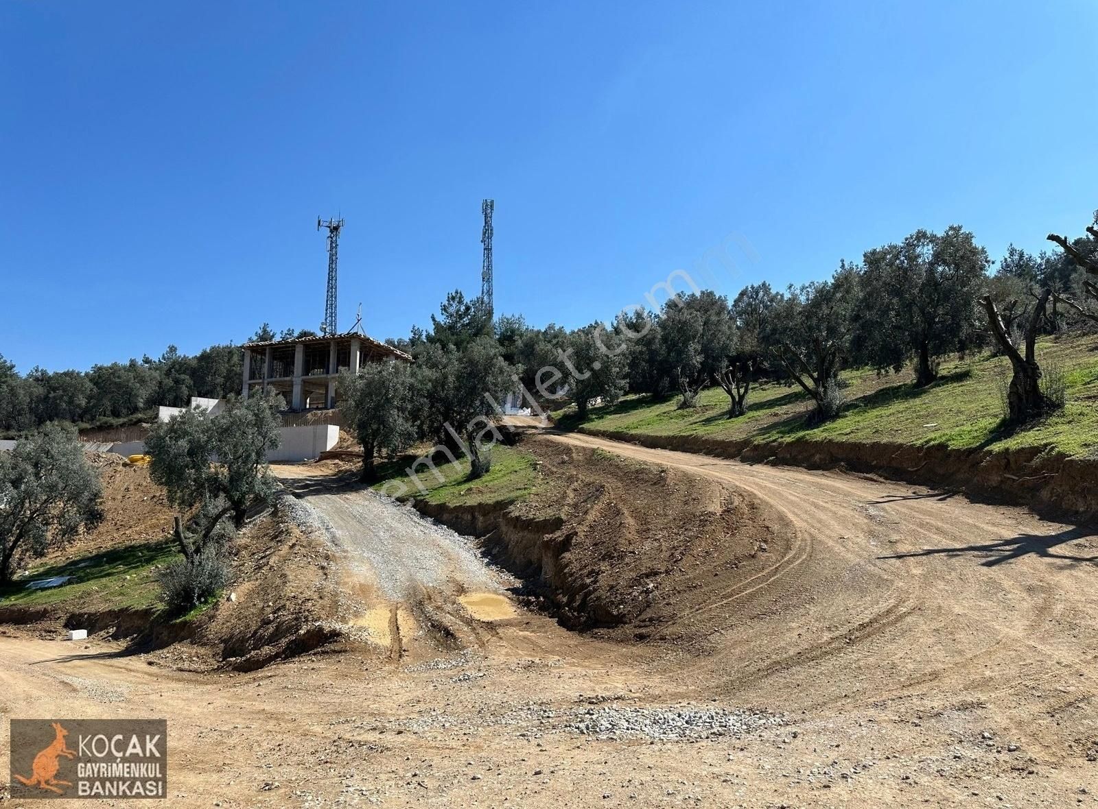 Çiçekli Mahallesi Köy Yanı İmara Yakın 1395 M2 Satılık Zeytinlik - Görsel 25